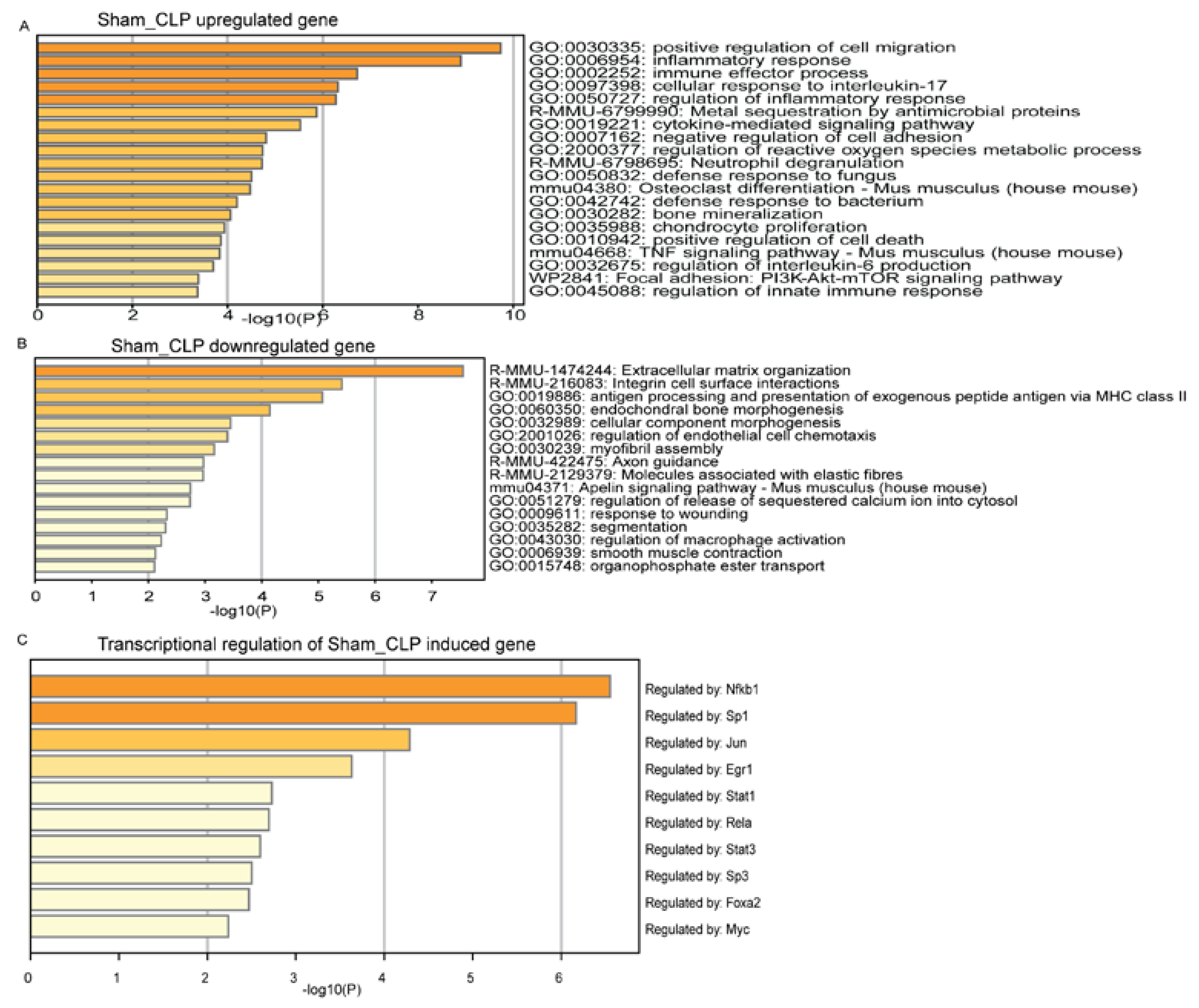 Preprints 73580 g004