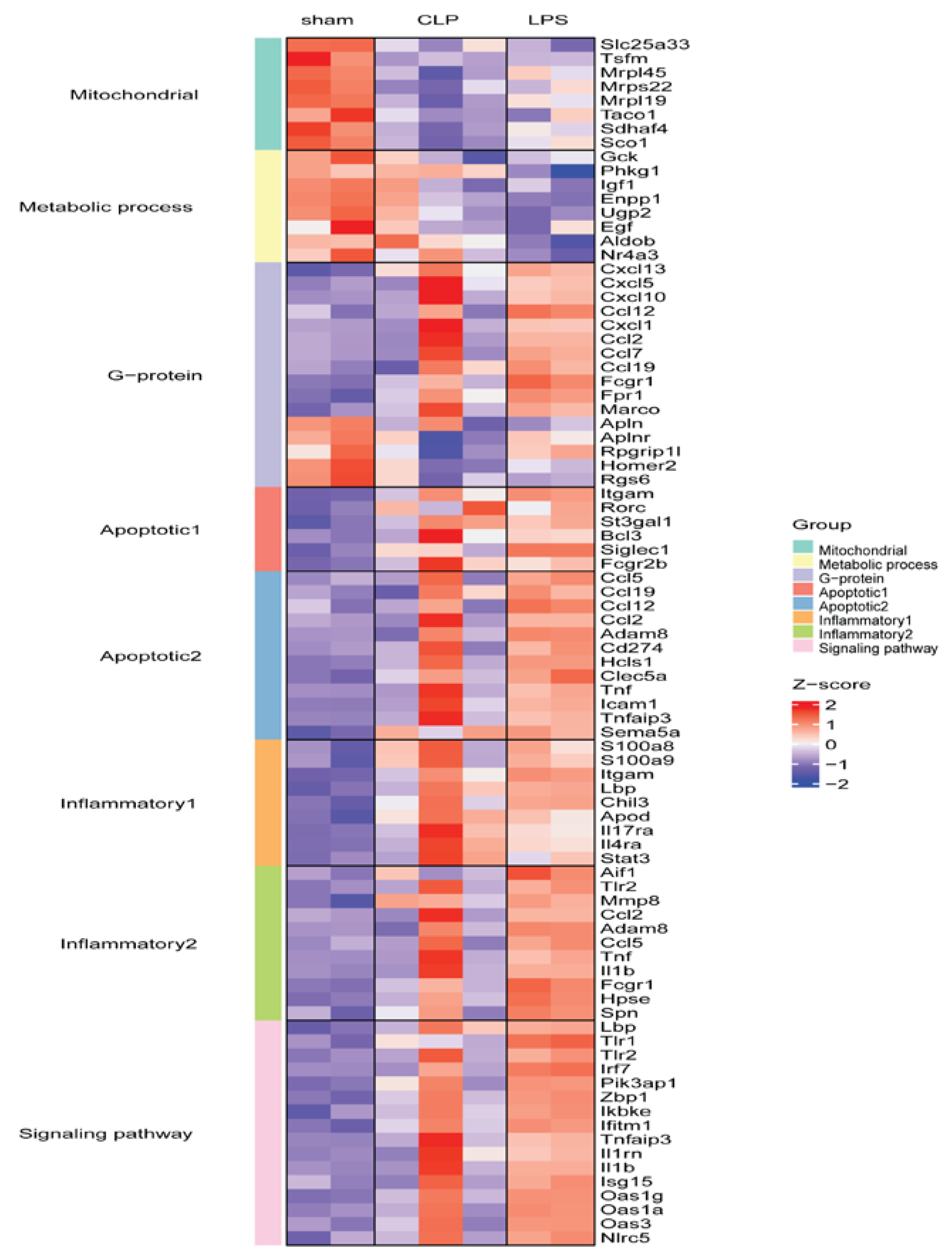 Preprints 73580 g007