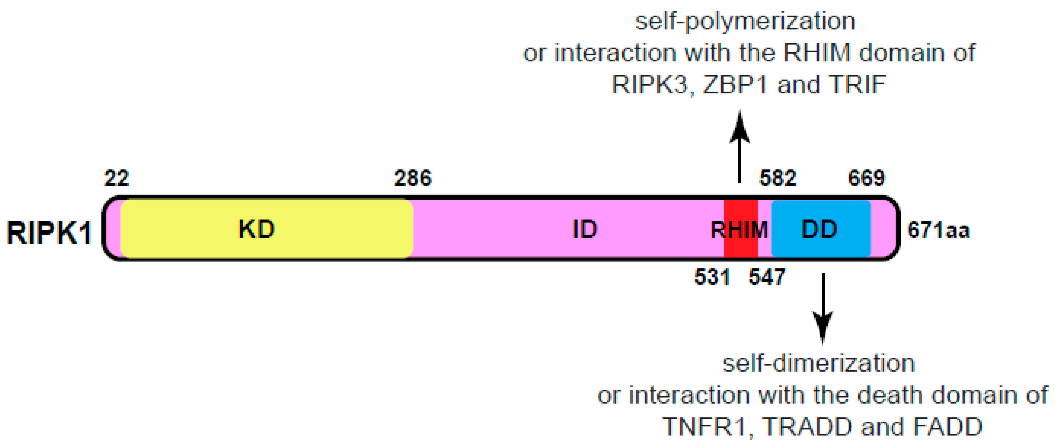 Preprints 103438 g001