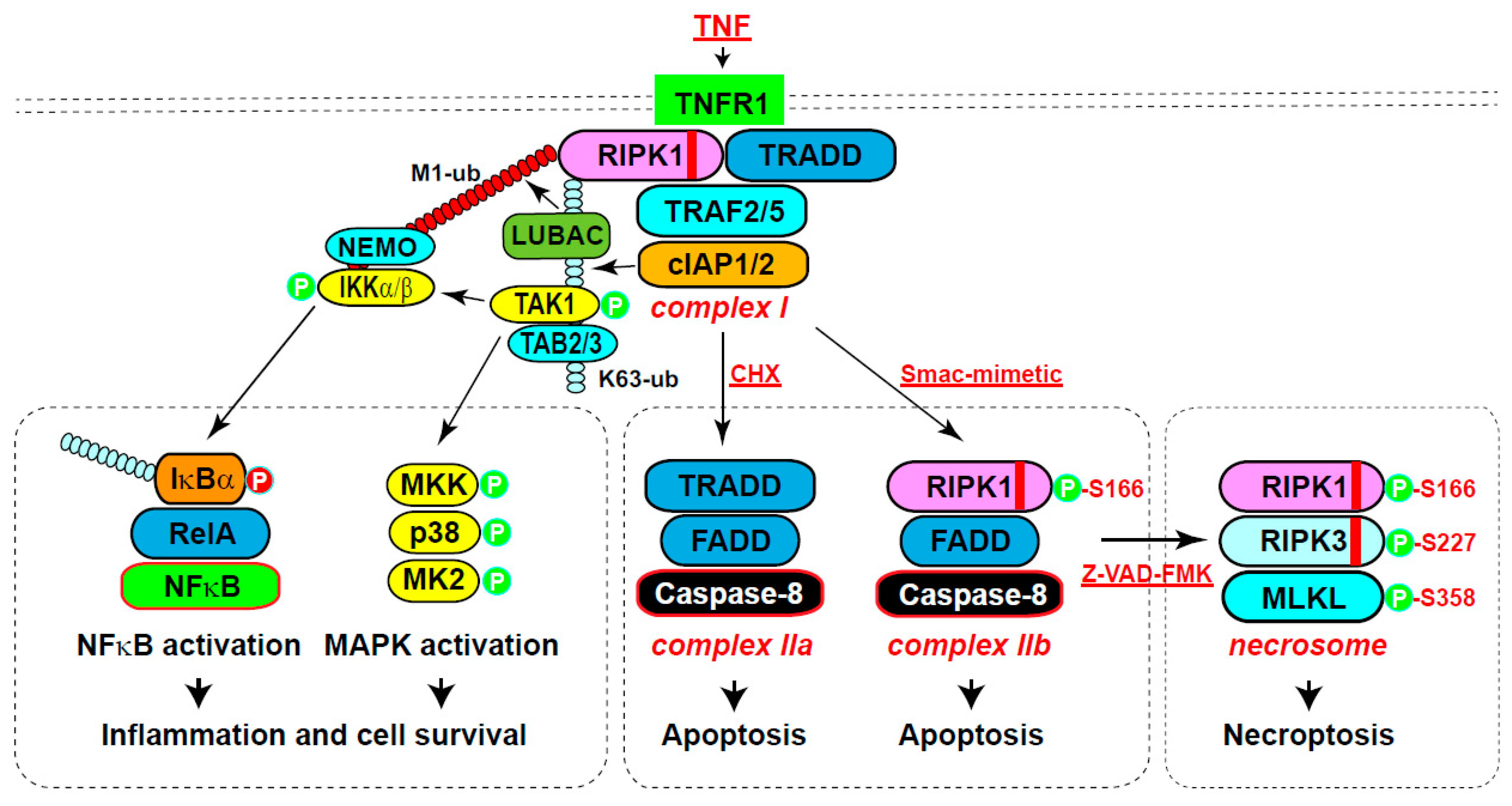 Preprints 103438 g002