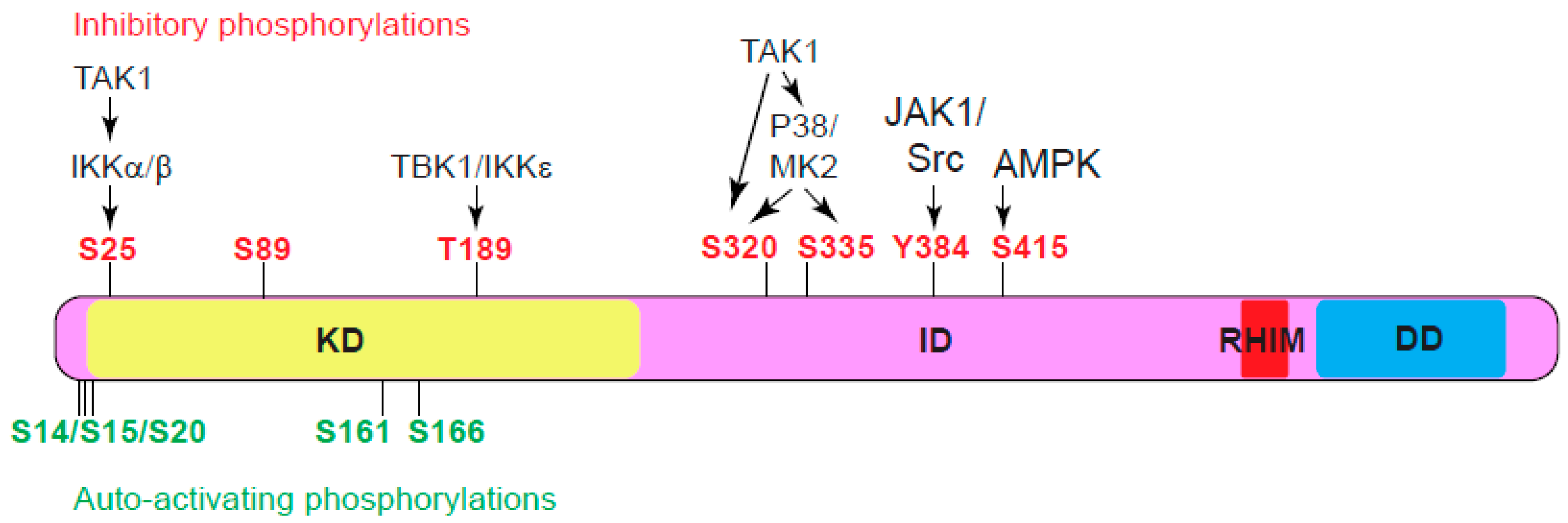 Preprints 103438 g003