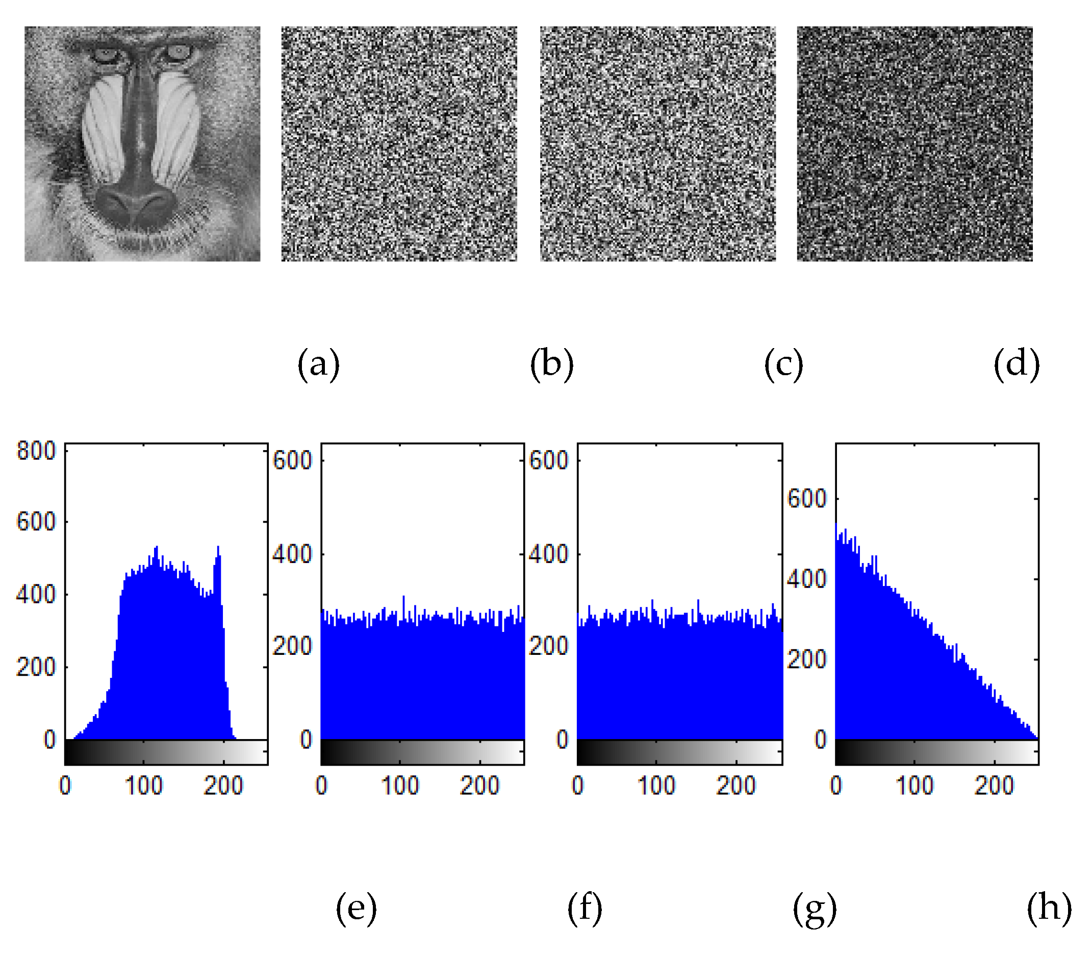 Preprints 116528 g006