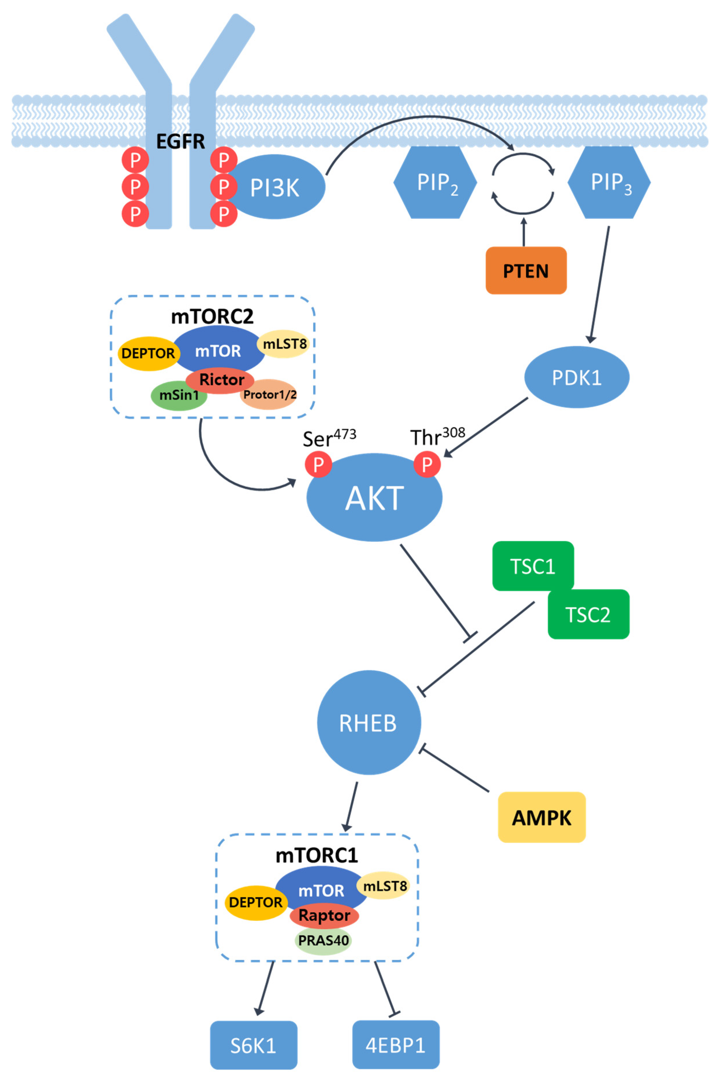 Preprints 80472 g001