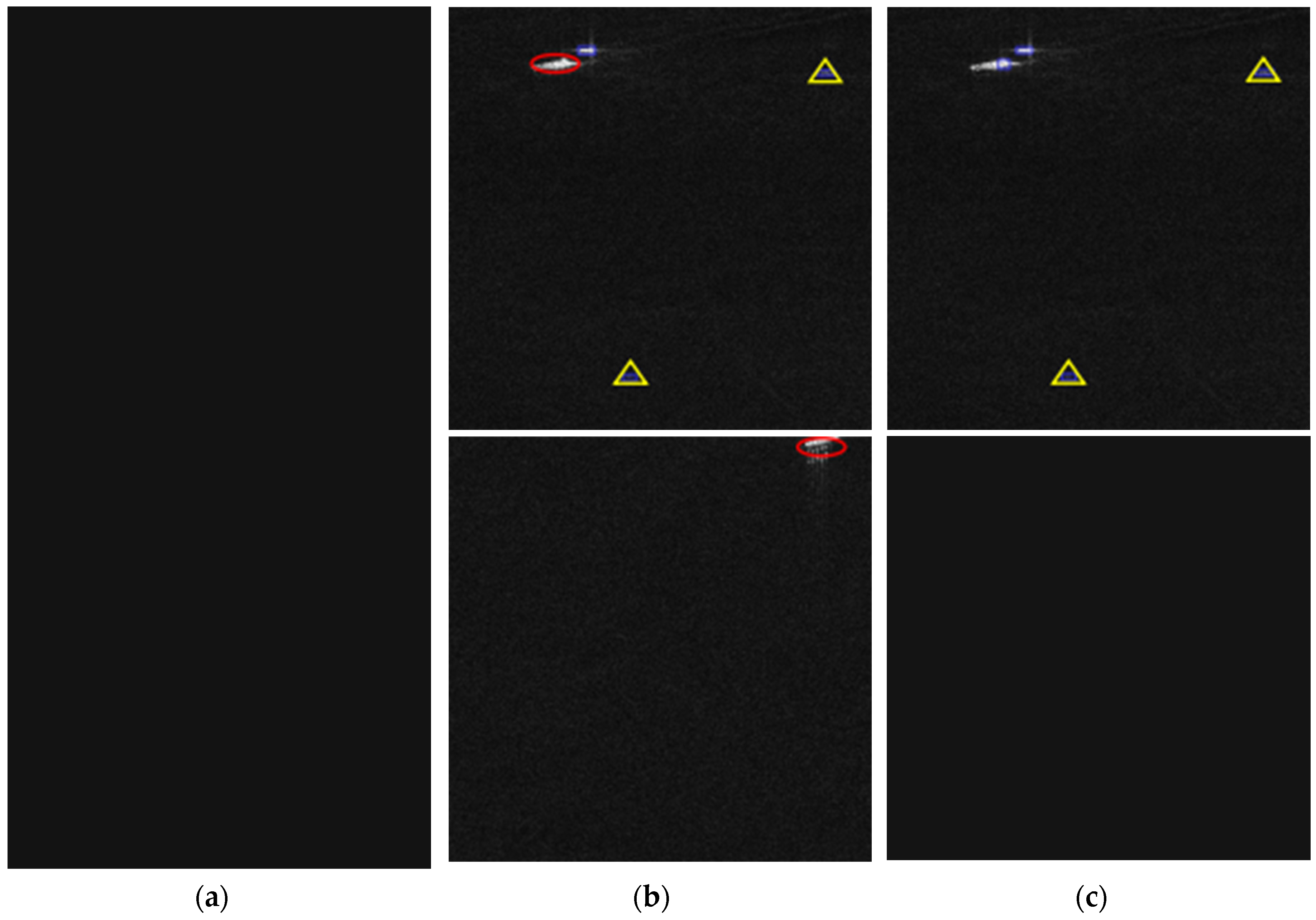 Preprints 109871 g010b