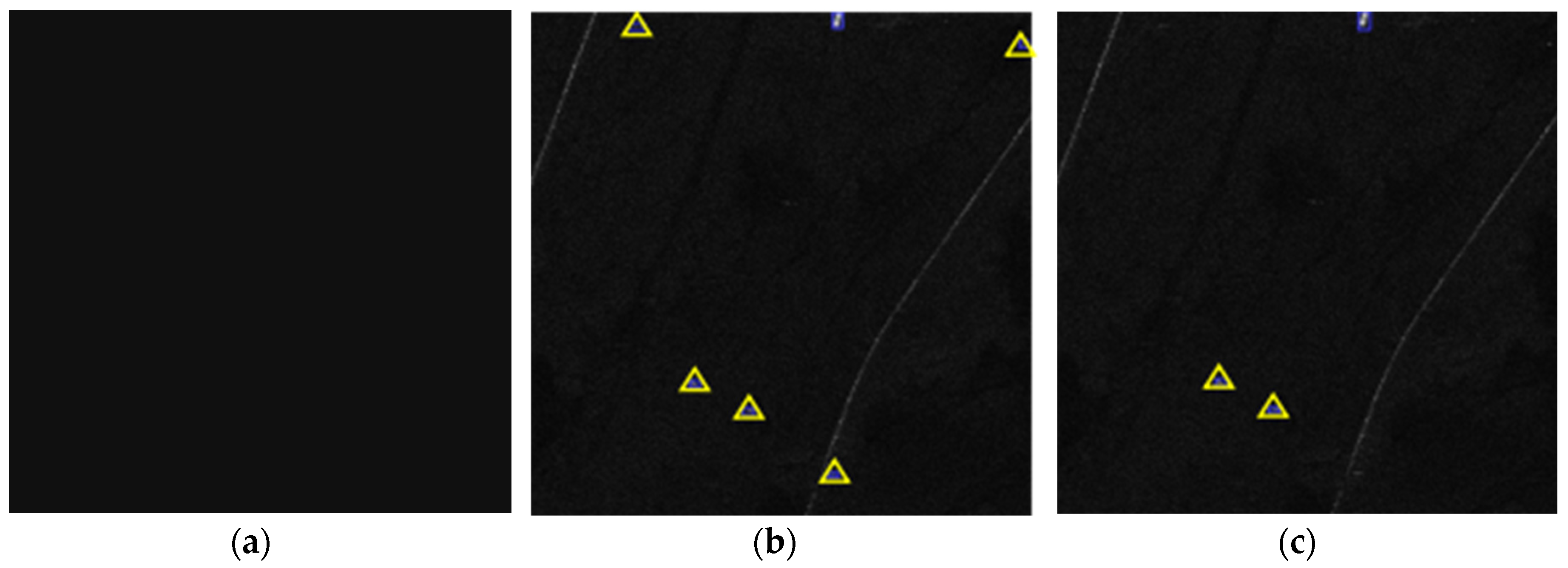 Preprints 109871 g012b