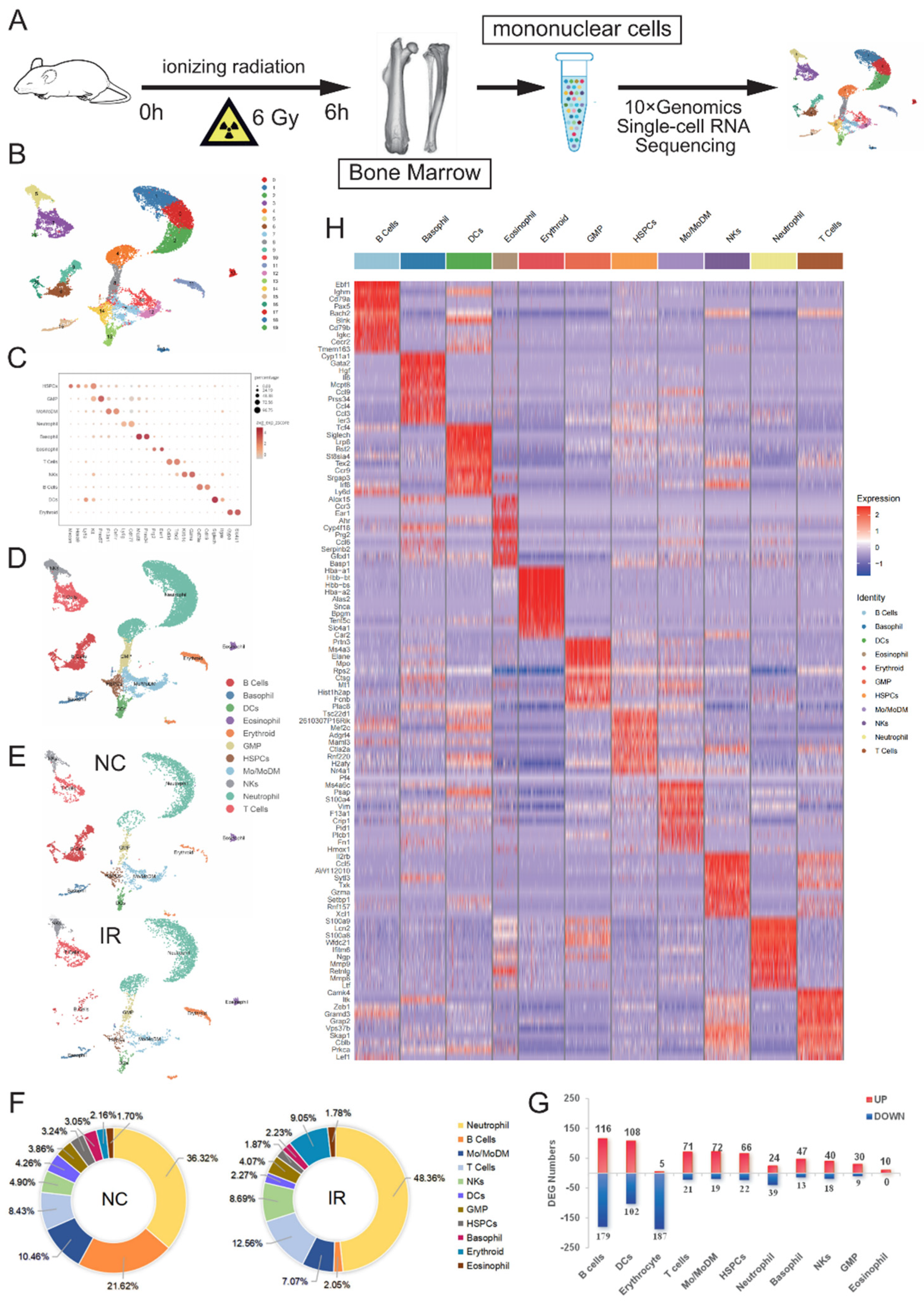 Preprints 111058 g002