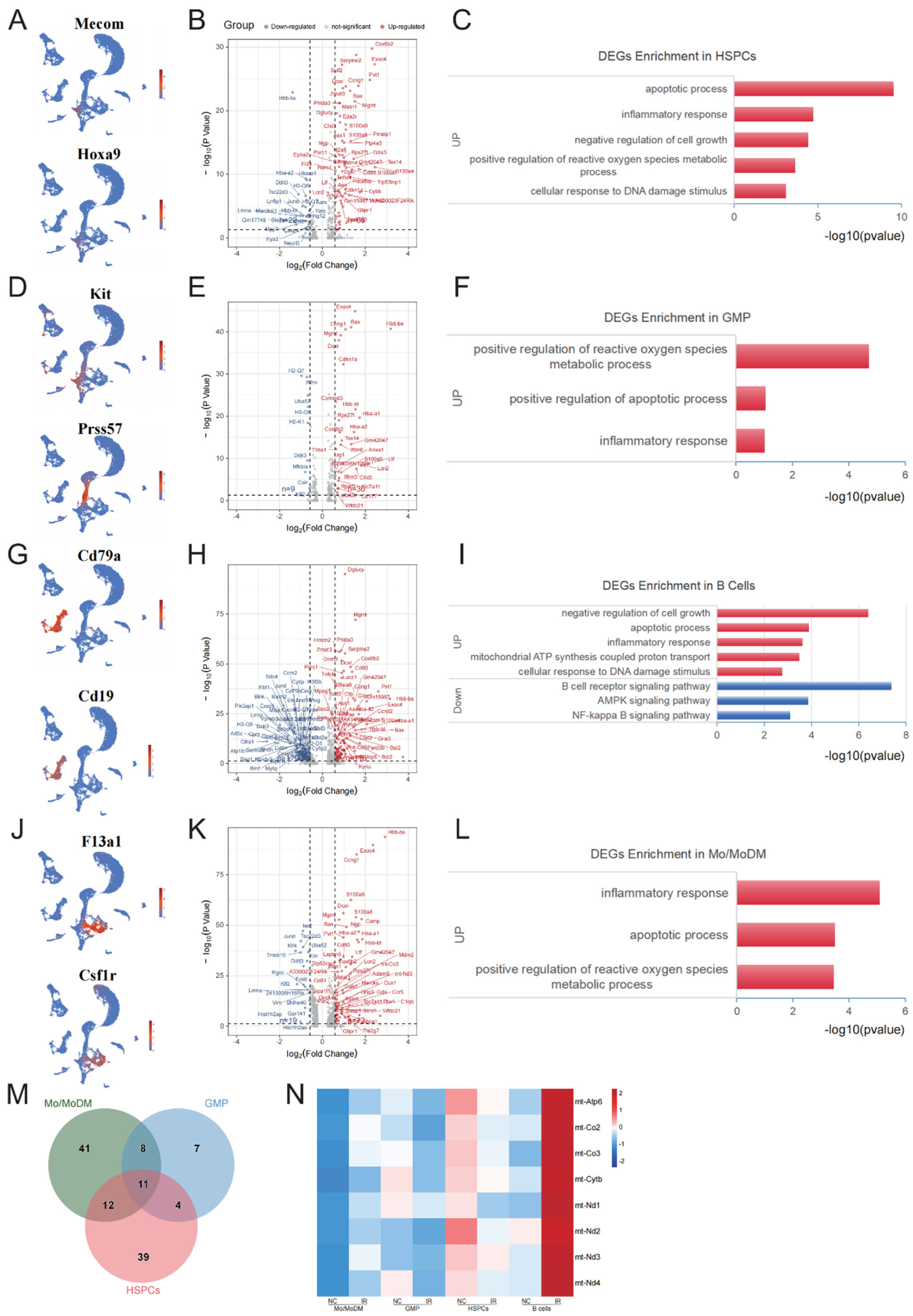 Preprints 111058 g003