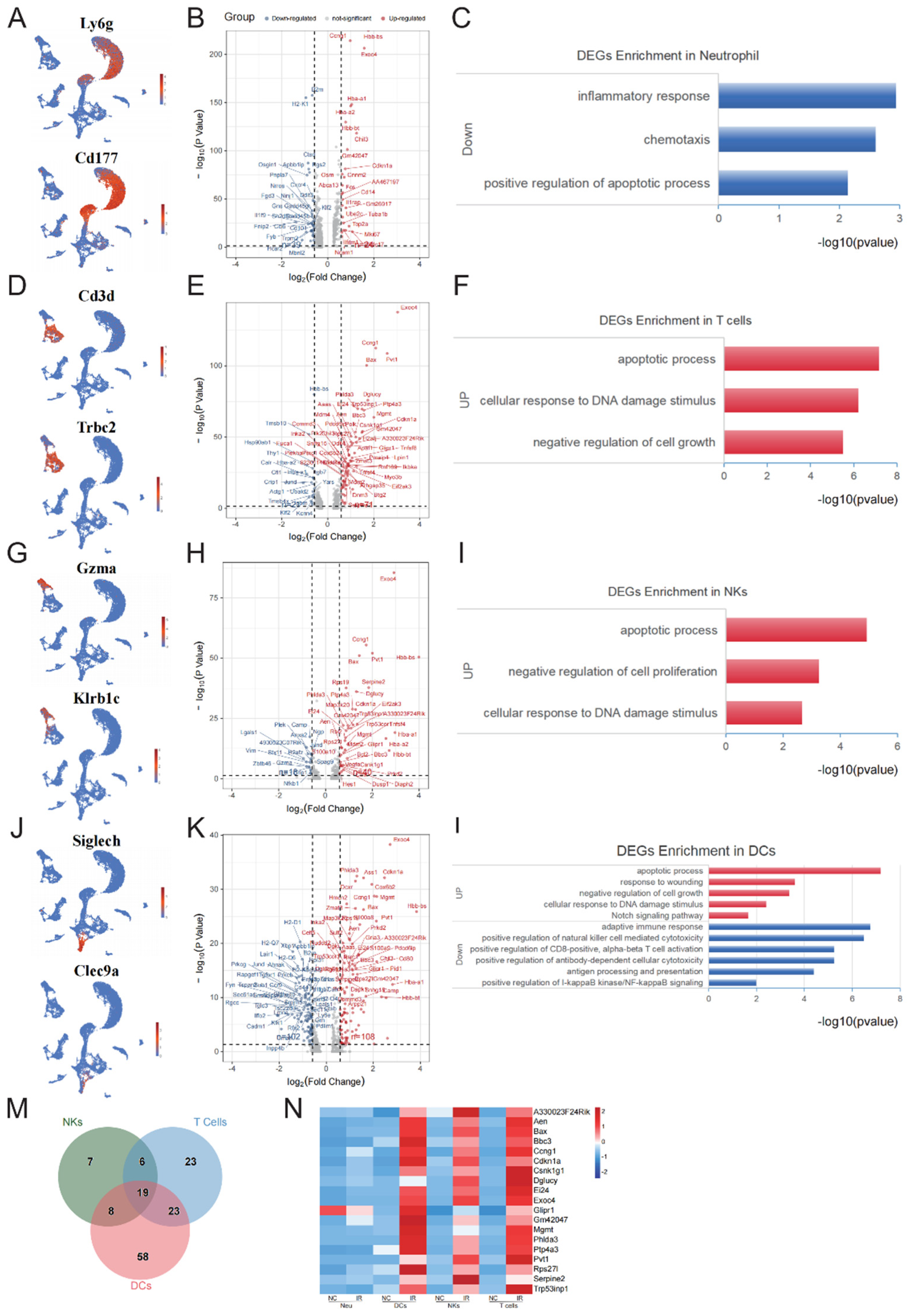 Preprints 111058 g004