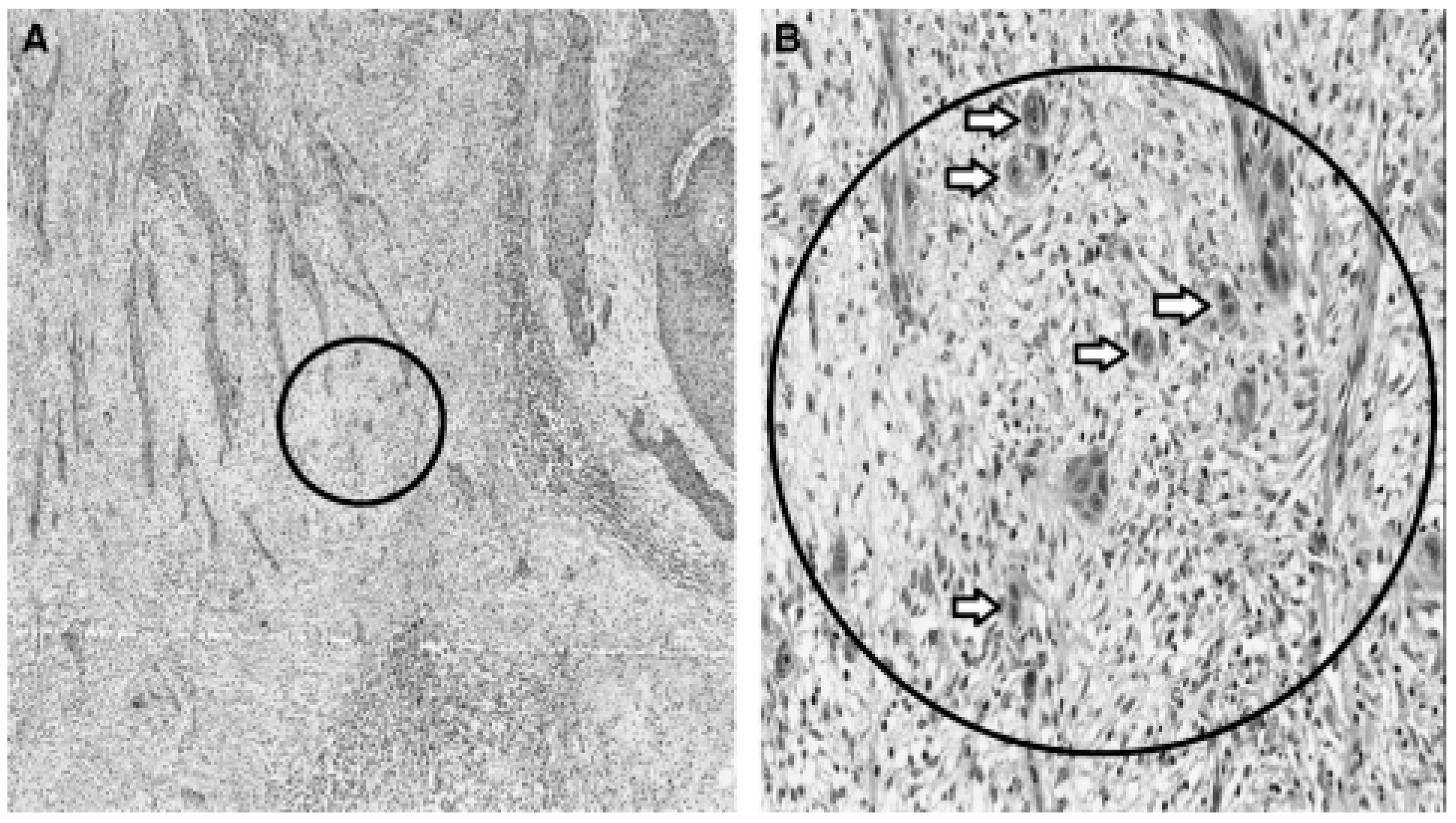 Preprints 79519 g002