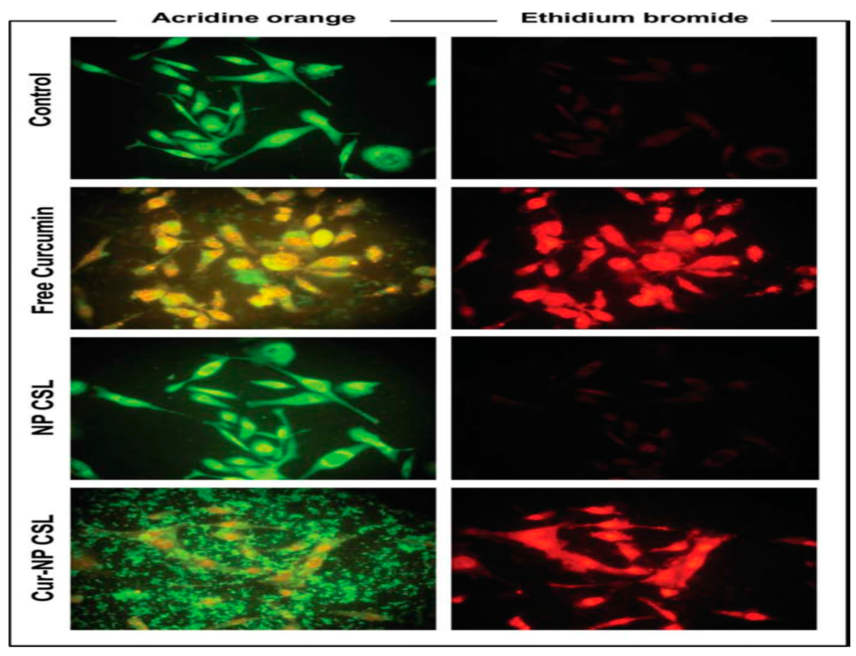 Preprints 79519 g005