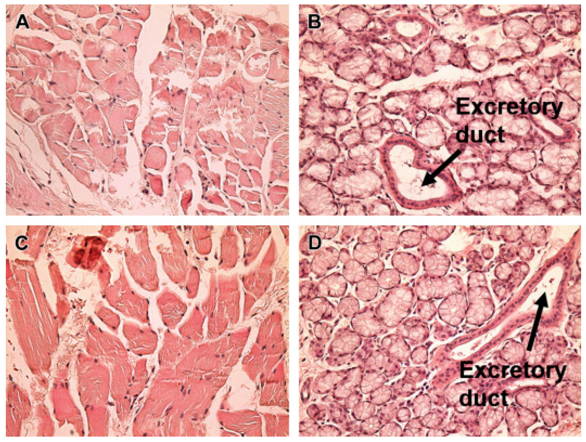 Preprints 79519 g006