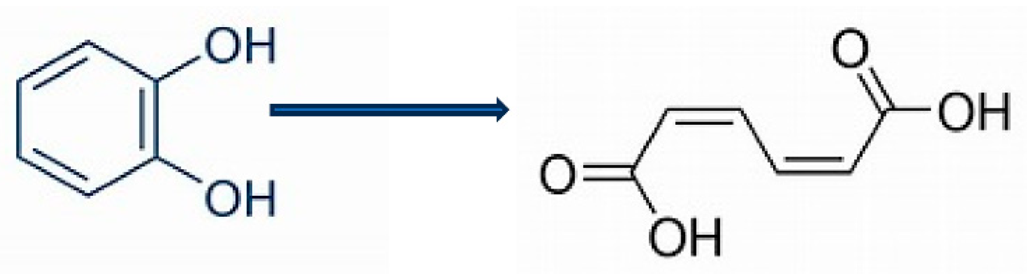 Preprints 95212 g001