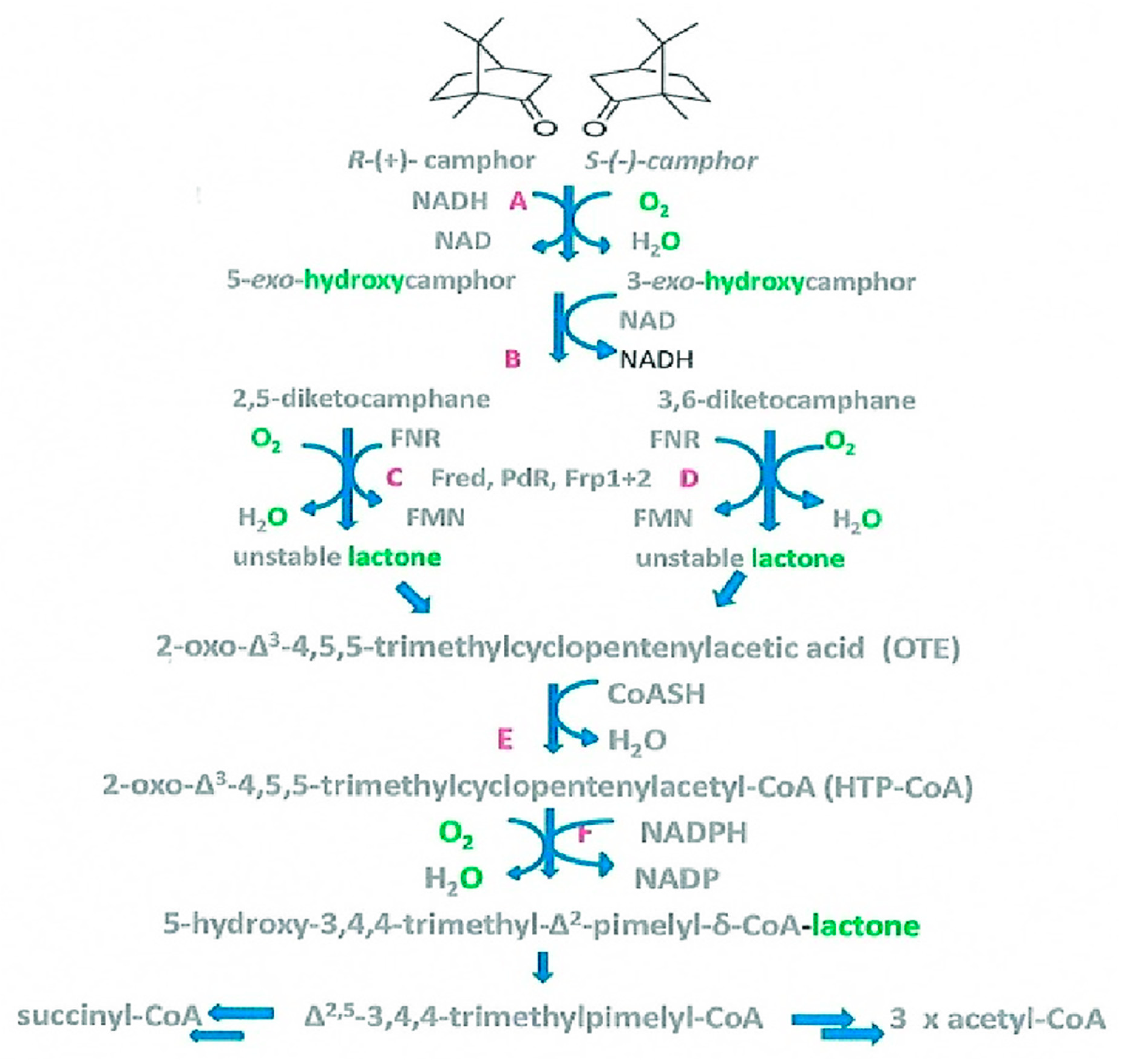 Preprints 95212 g002