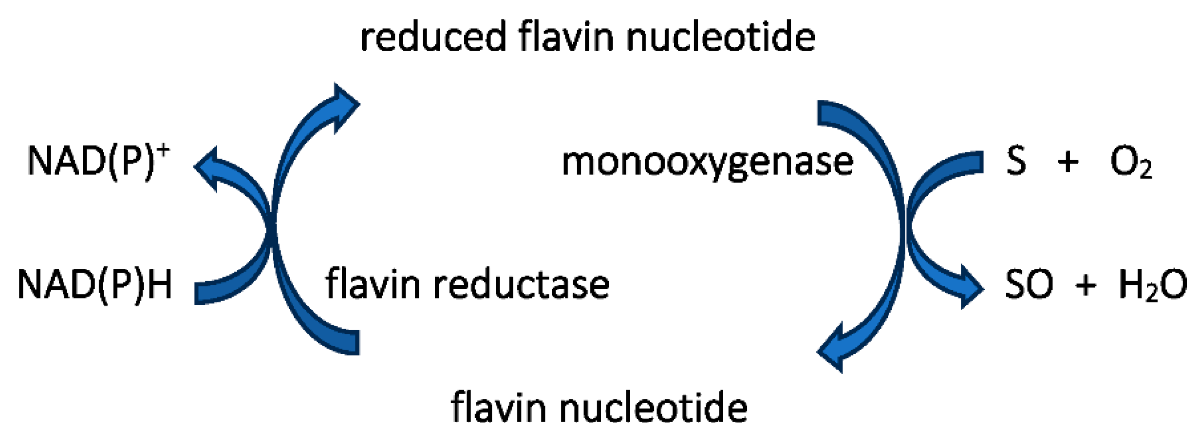 Preprints 95212 g005