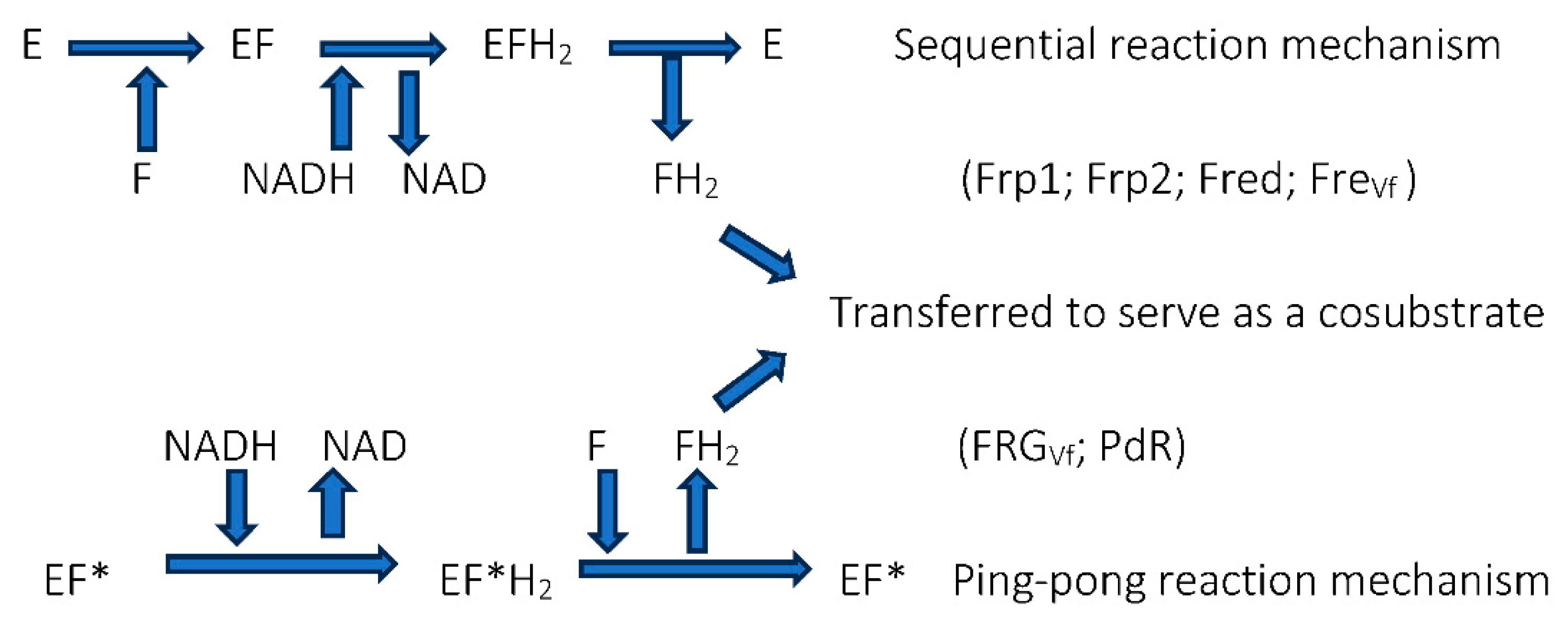 Preprints 95212 g006