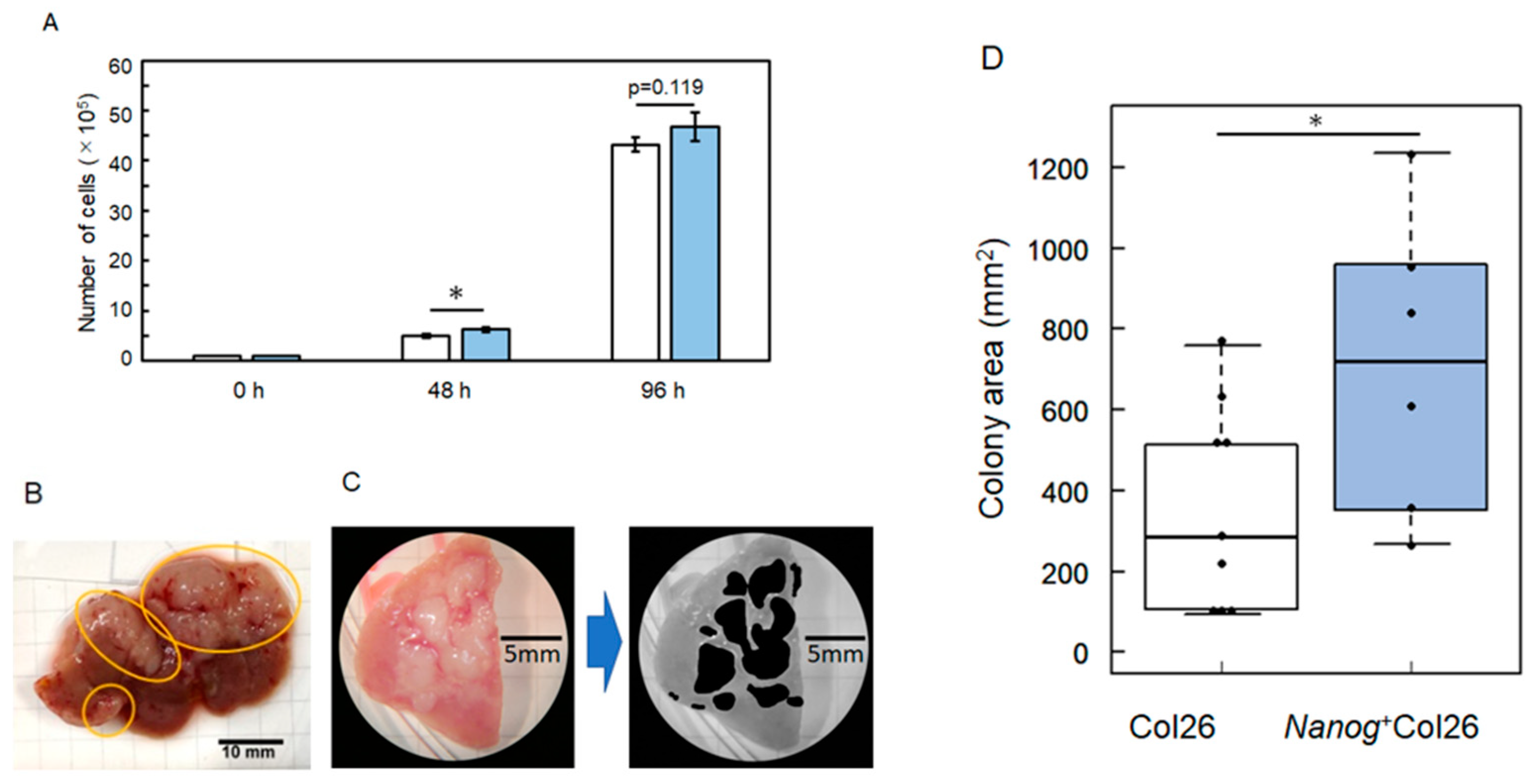 Preprints 108784 g001