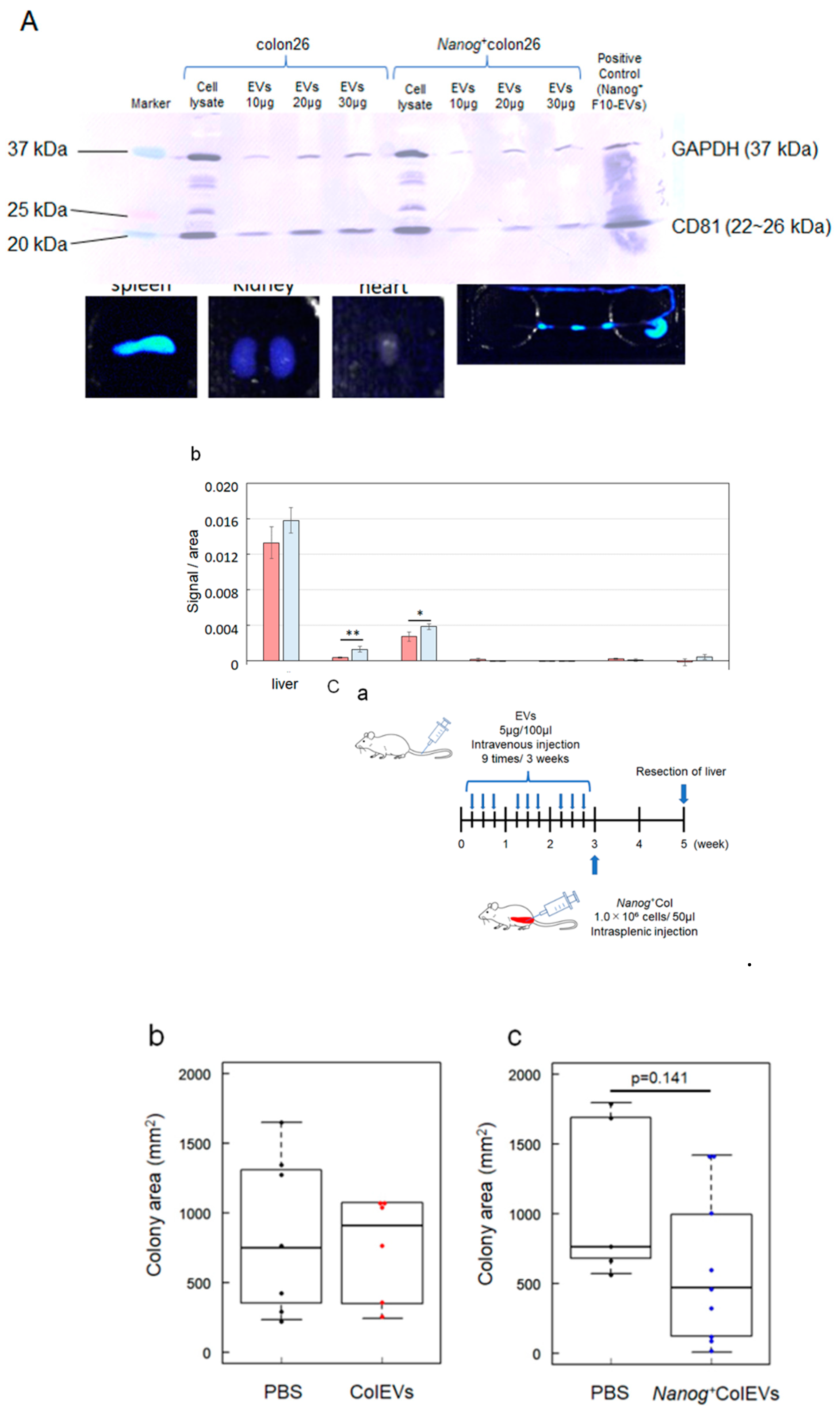 Preprints 108784 g002