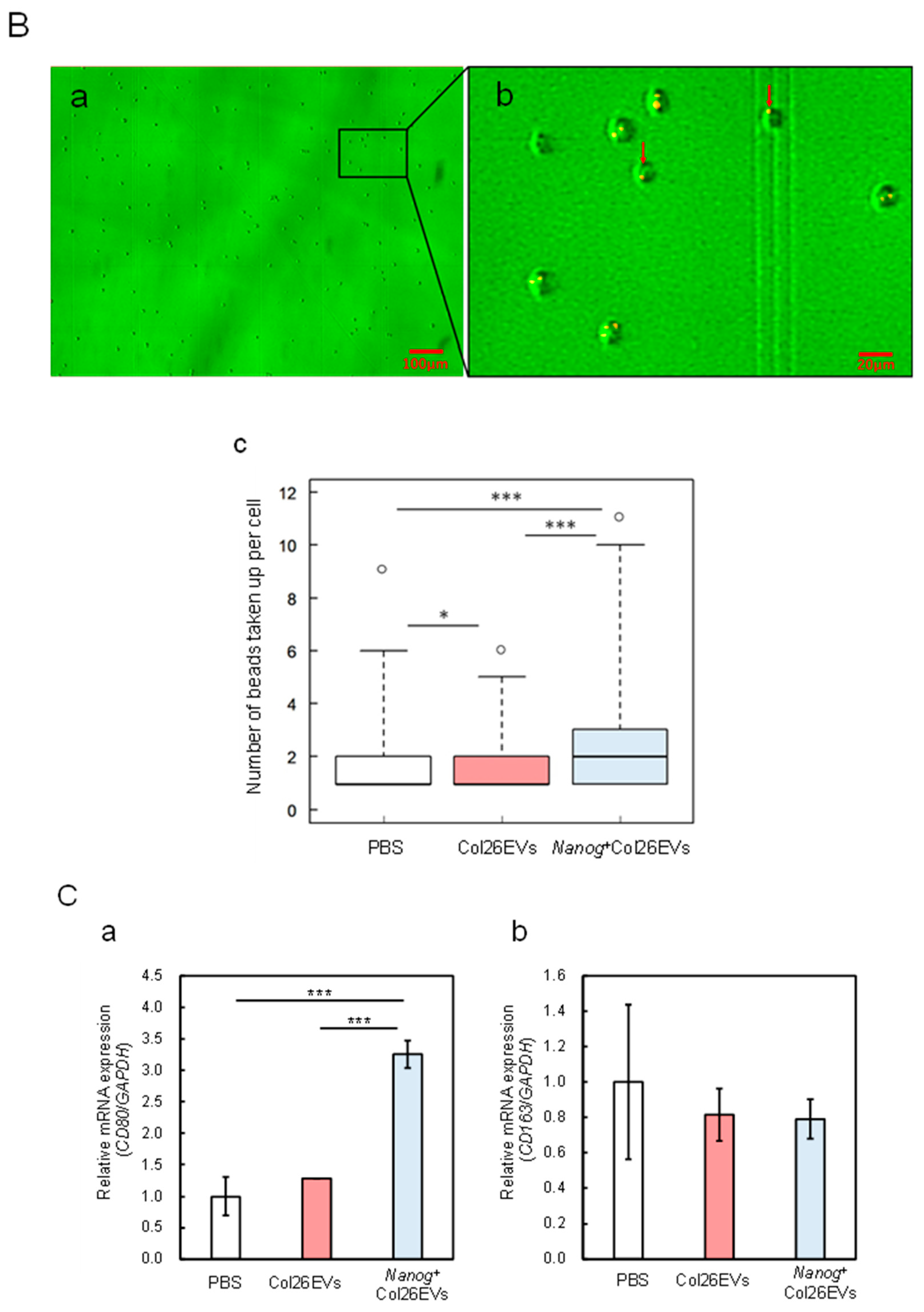 Preprints 108784 g003b