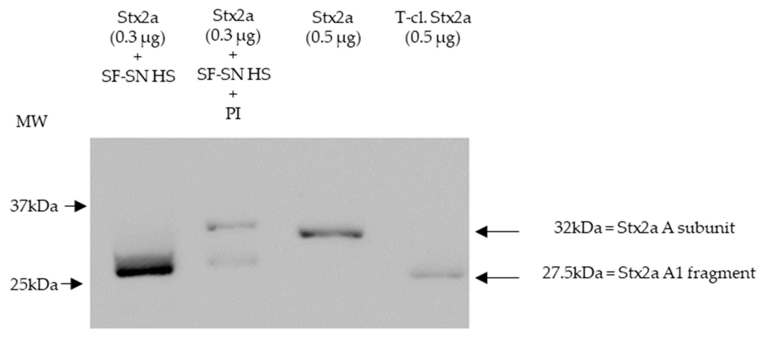 Preprints 78772 g001