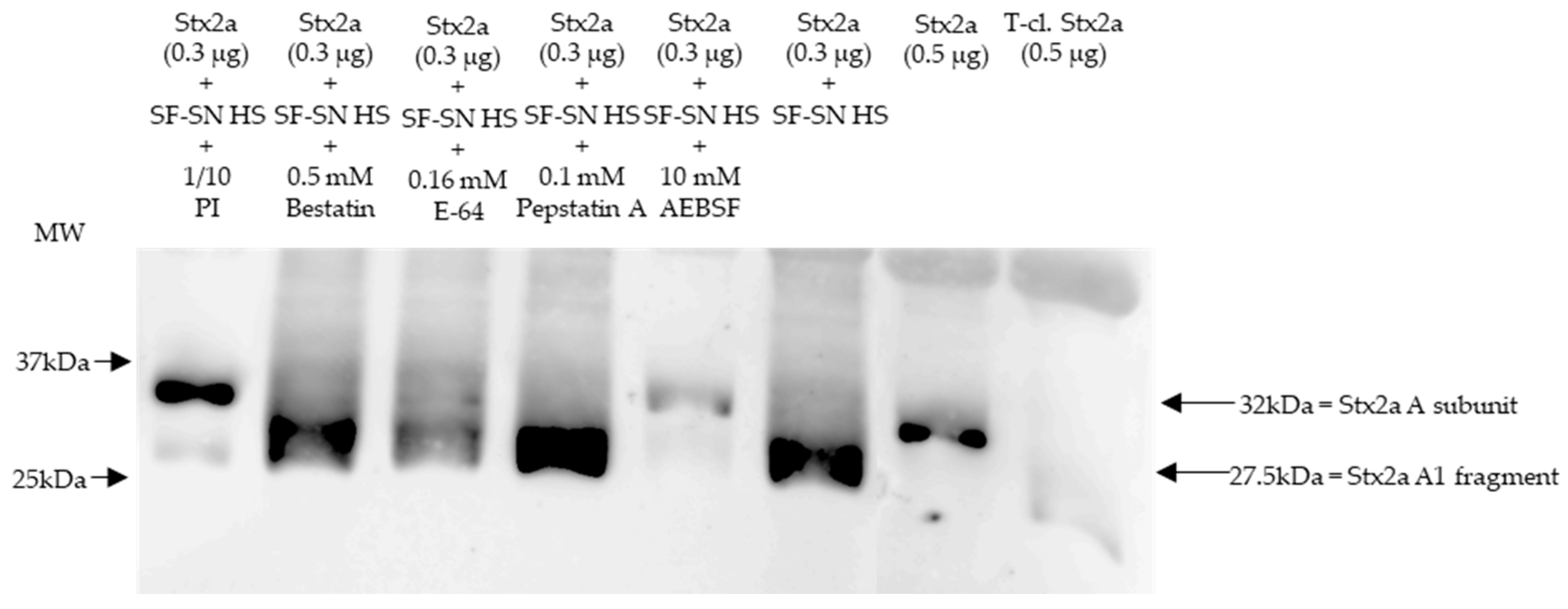 Preprints 78772 g002