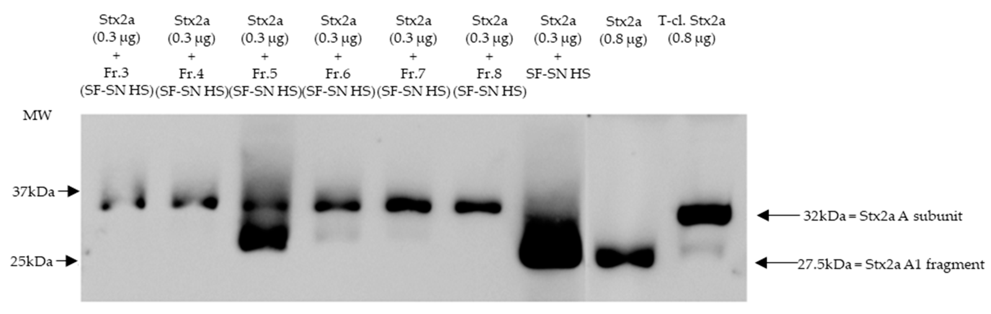 Preprints 78772 g003