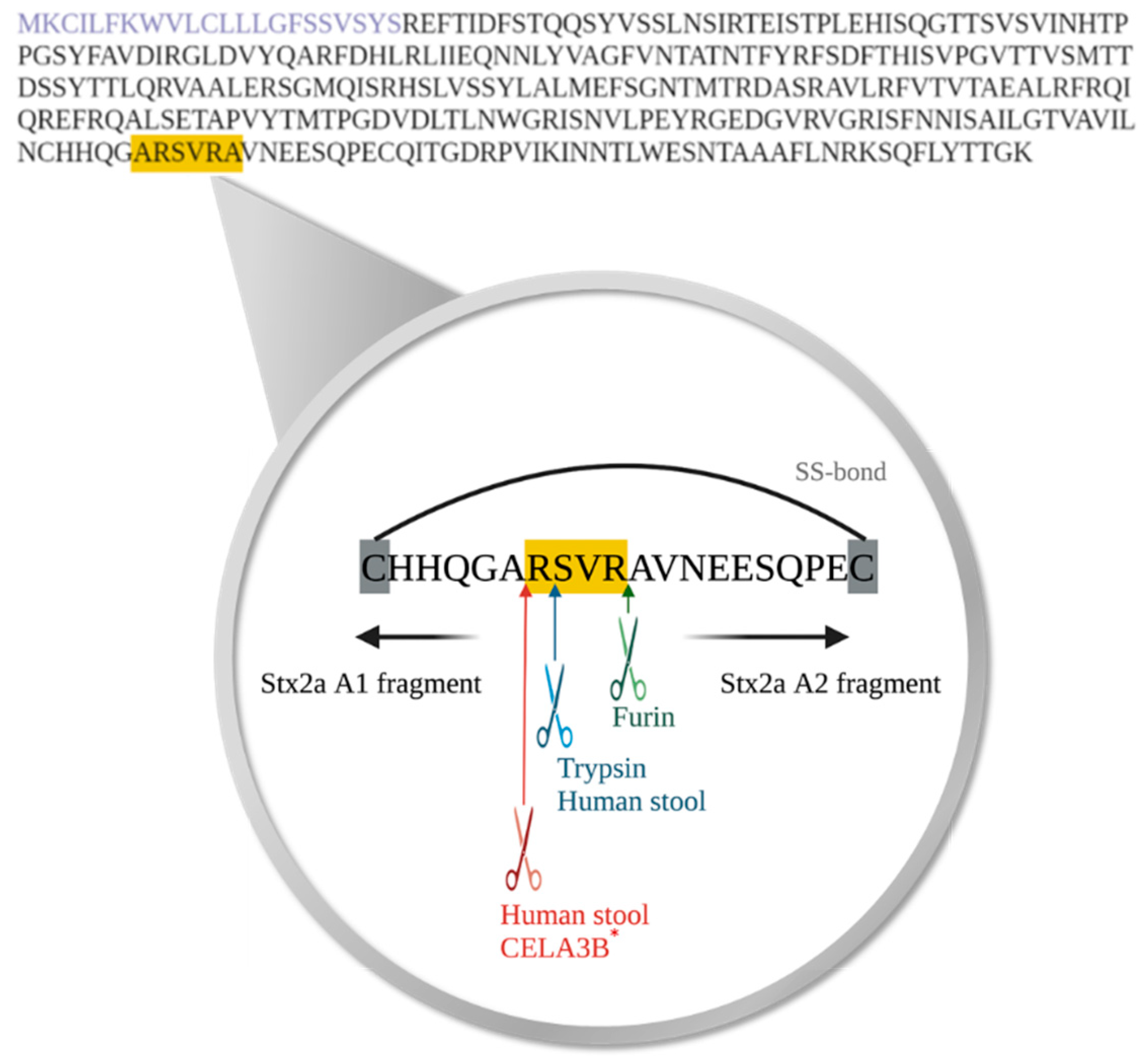 Preprints 78772 g004