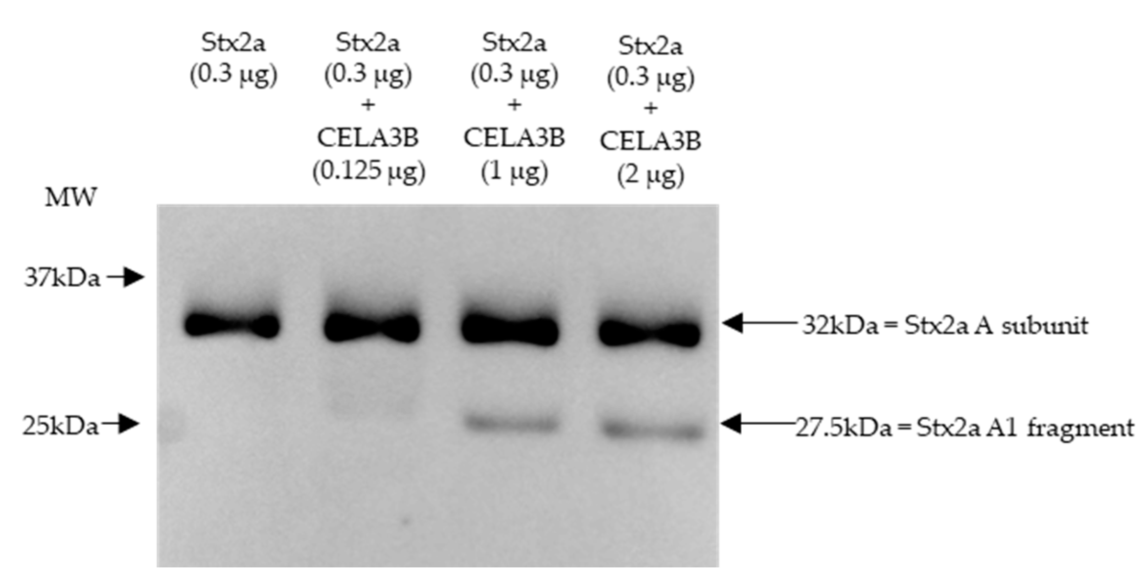 Preprints 78772 g005