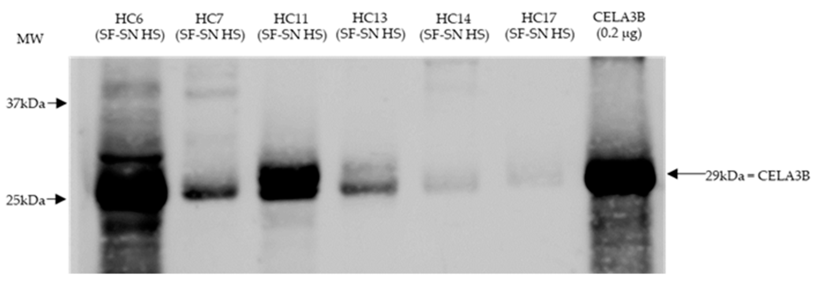 Preprints 78772 g006