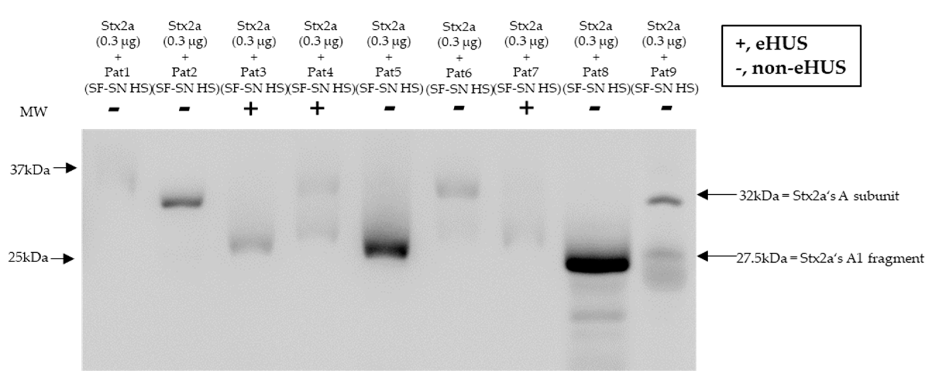 Preprints 78772 g007