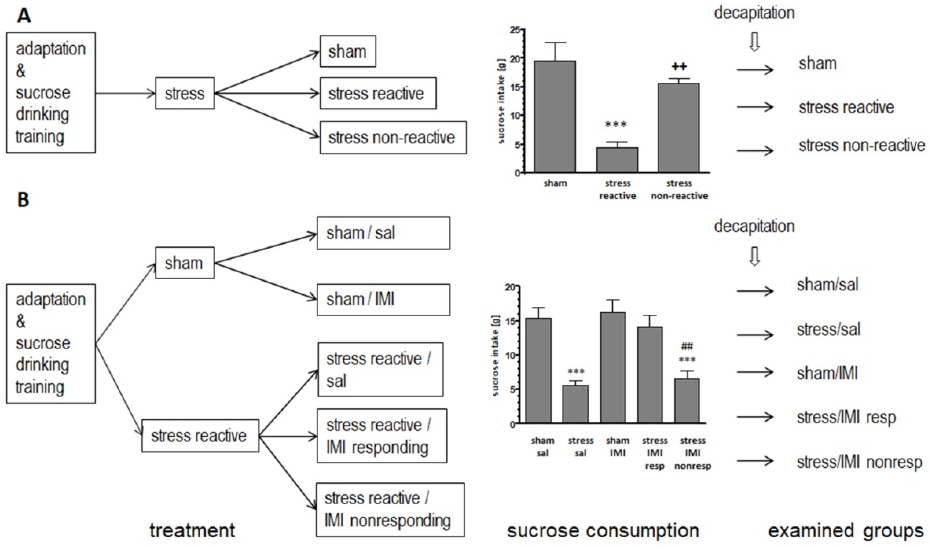 Preprints 89654 g001