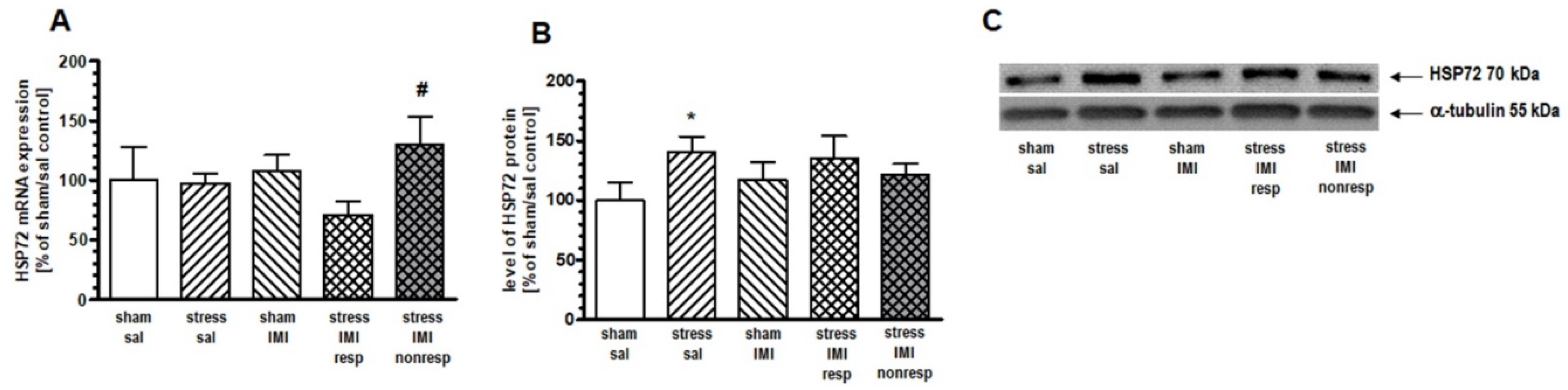 Preprints 89654 g002