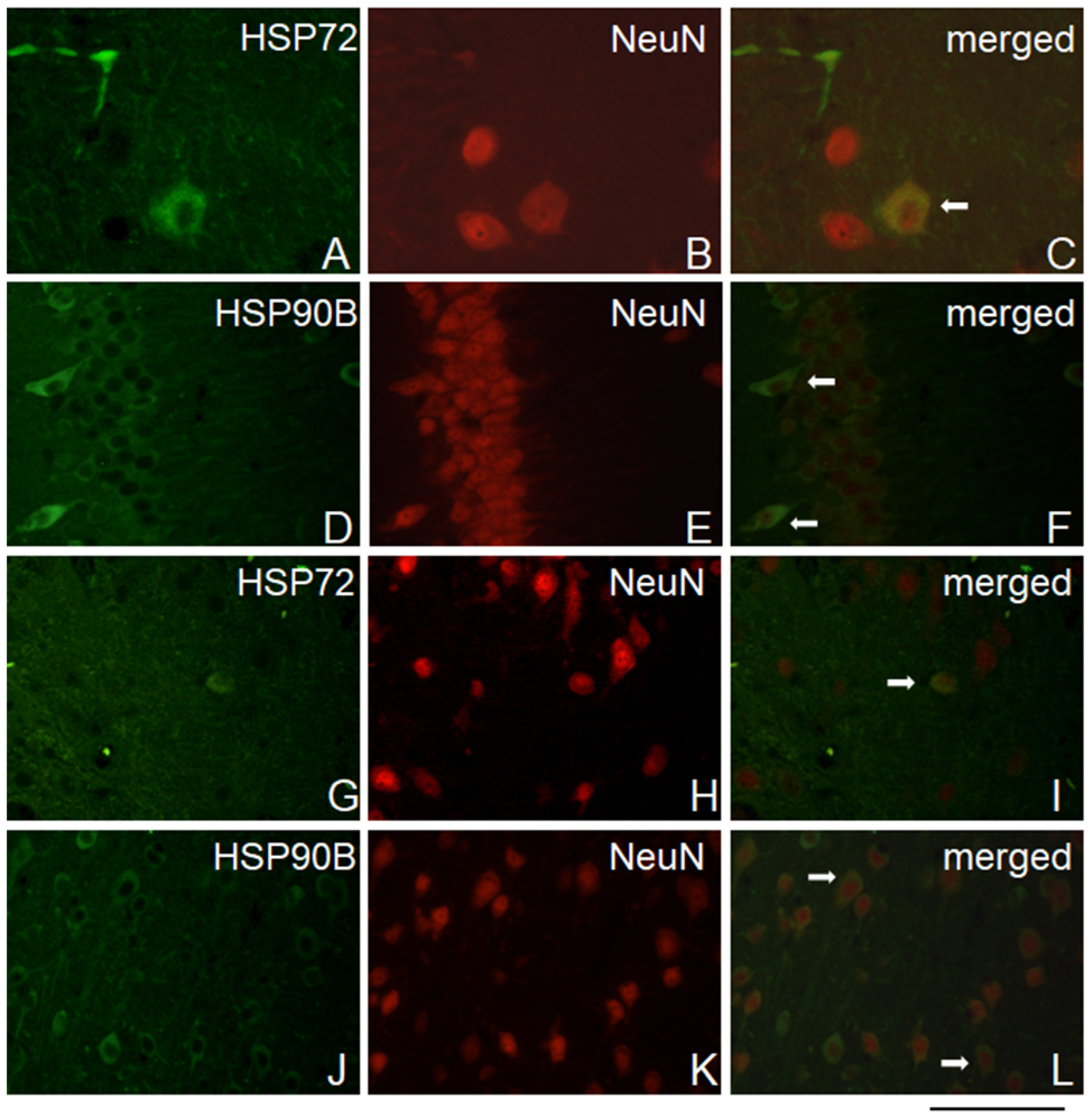 Preprints 89654 g005