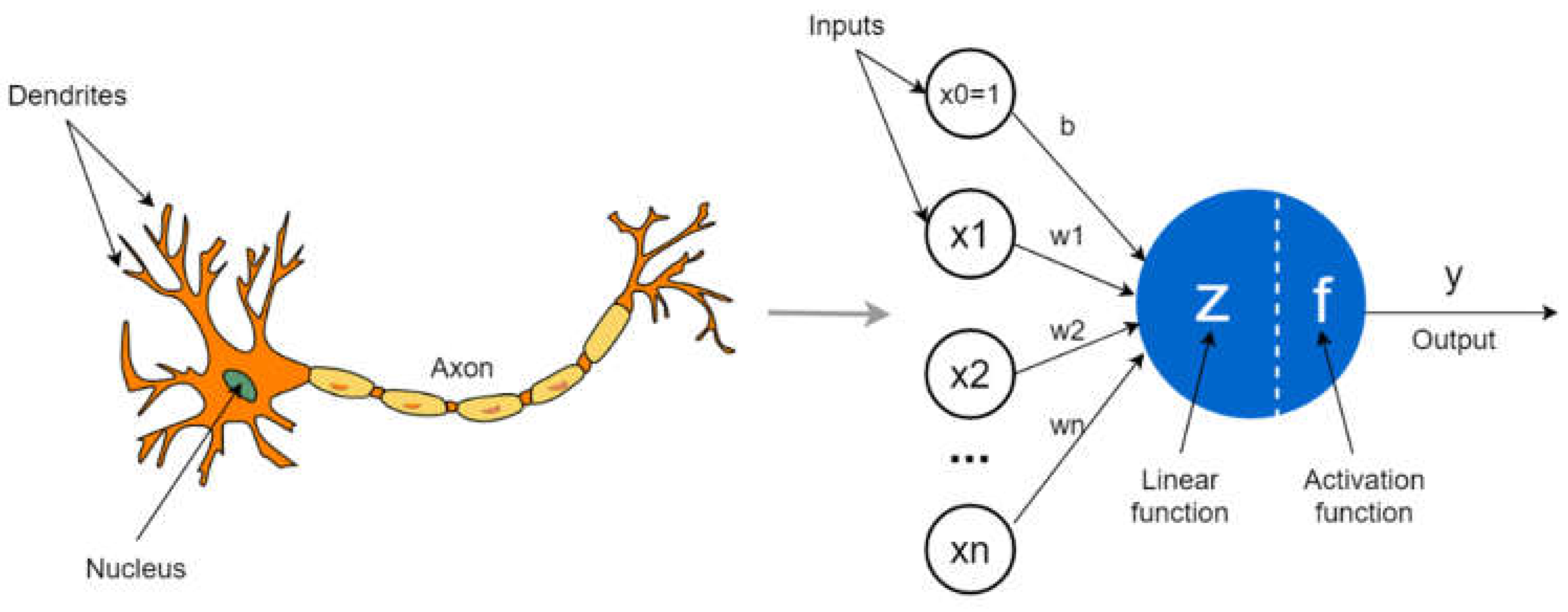 Preprints 116098 g001