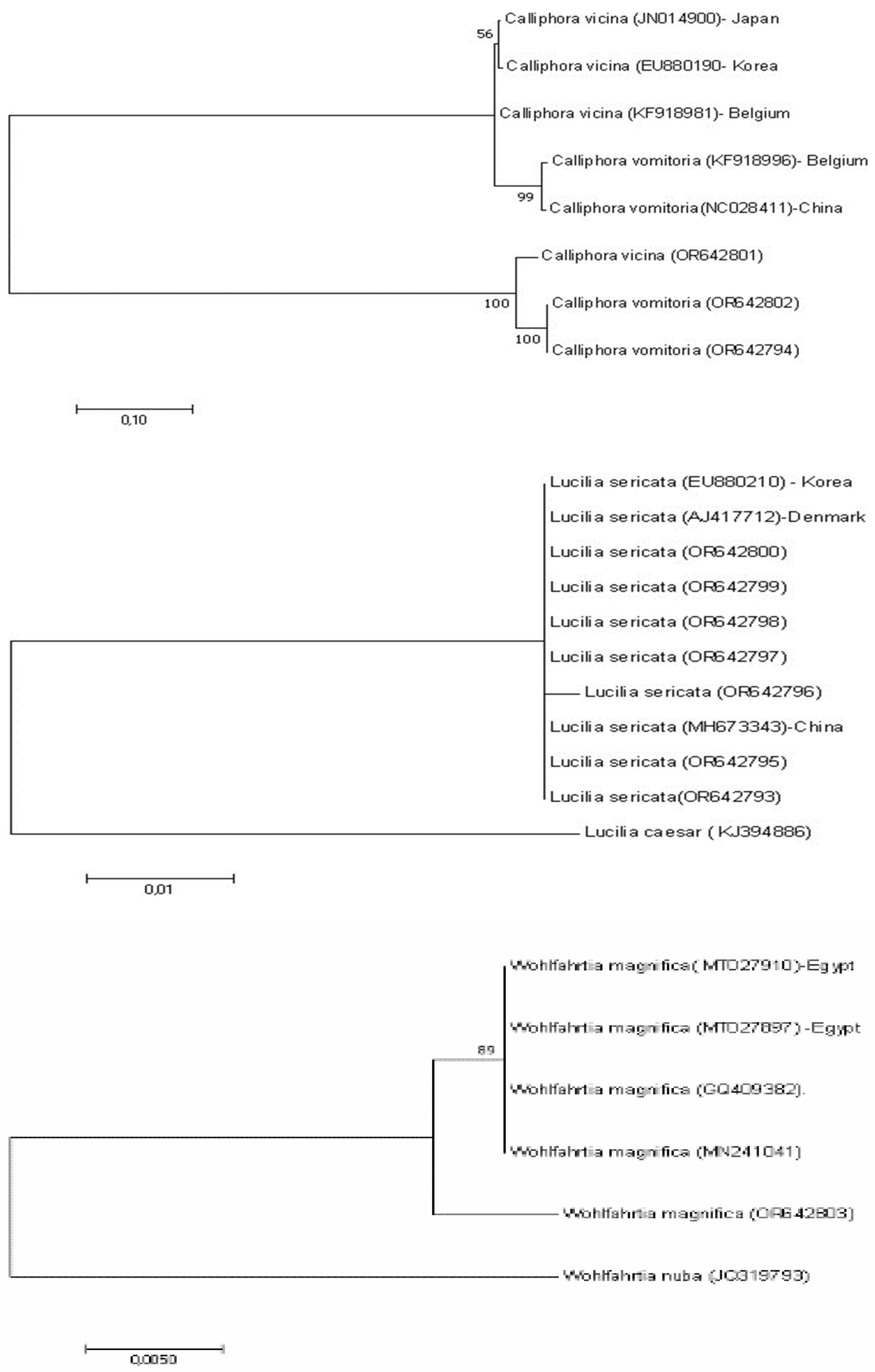 Preprints 89650 g004