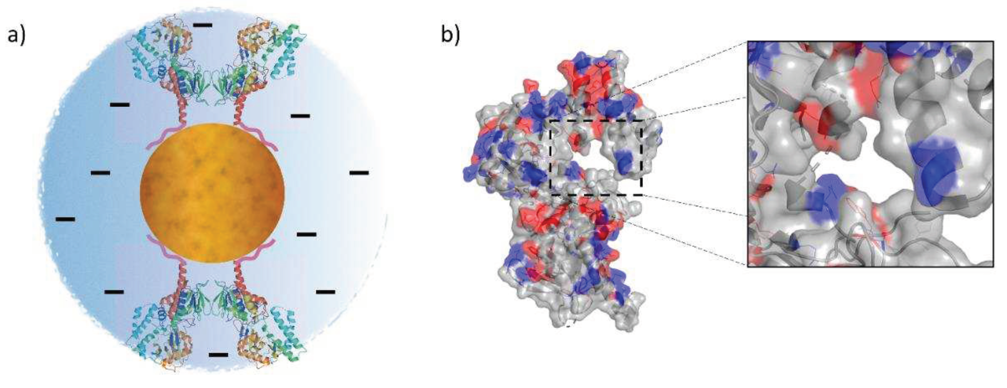 Preprints 90033 g006