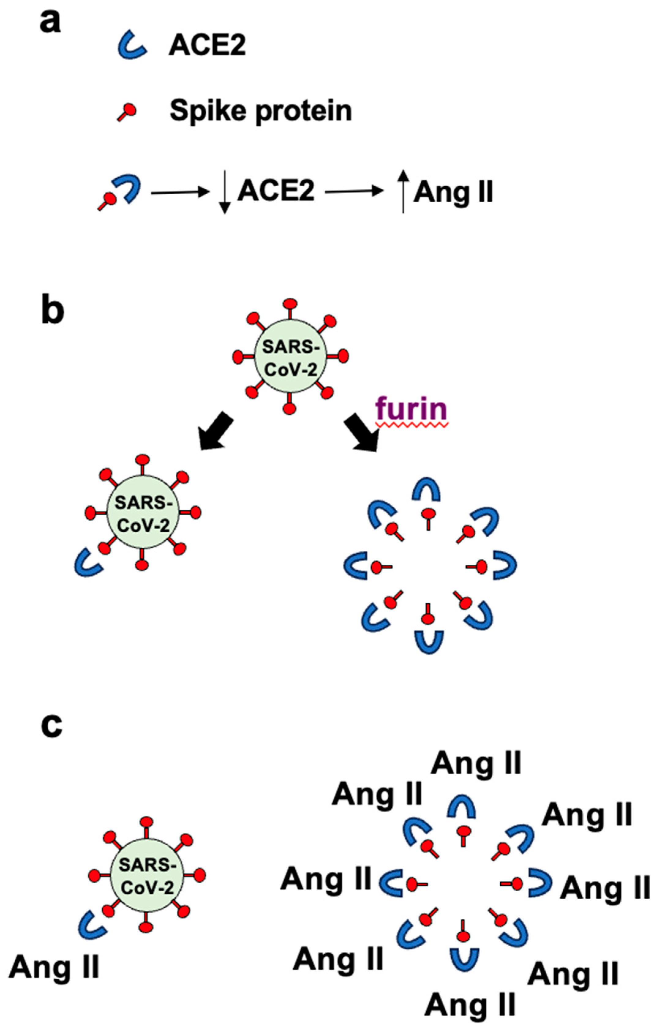 Preprints 89226 g001