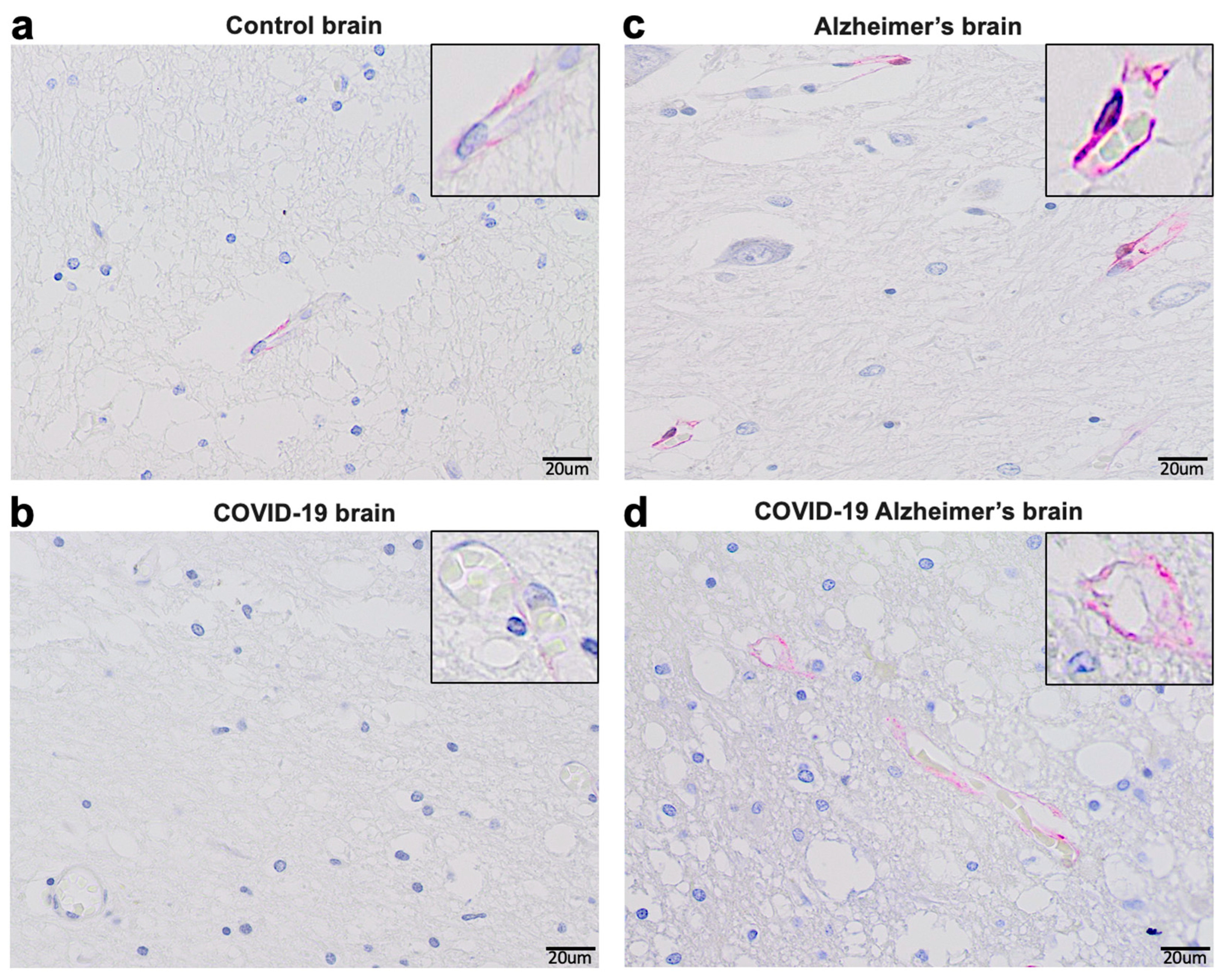 Preprints 89226 g003