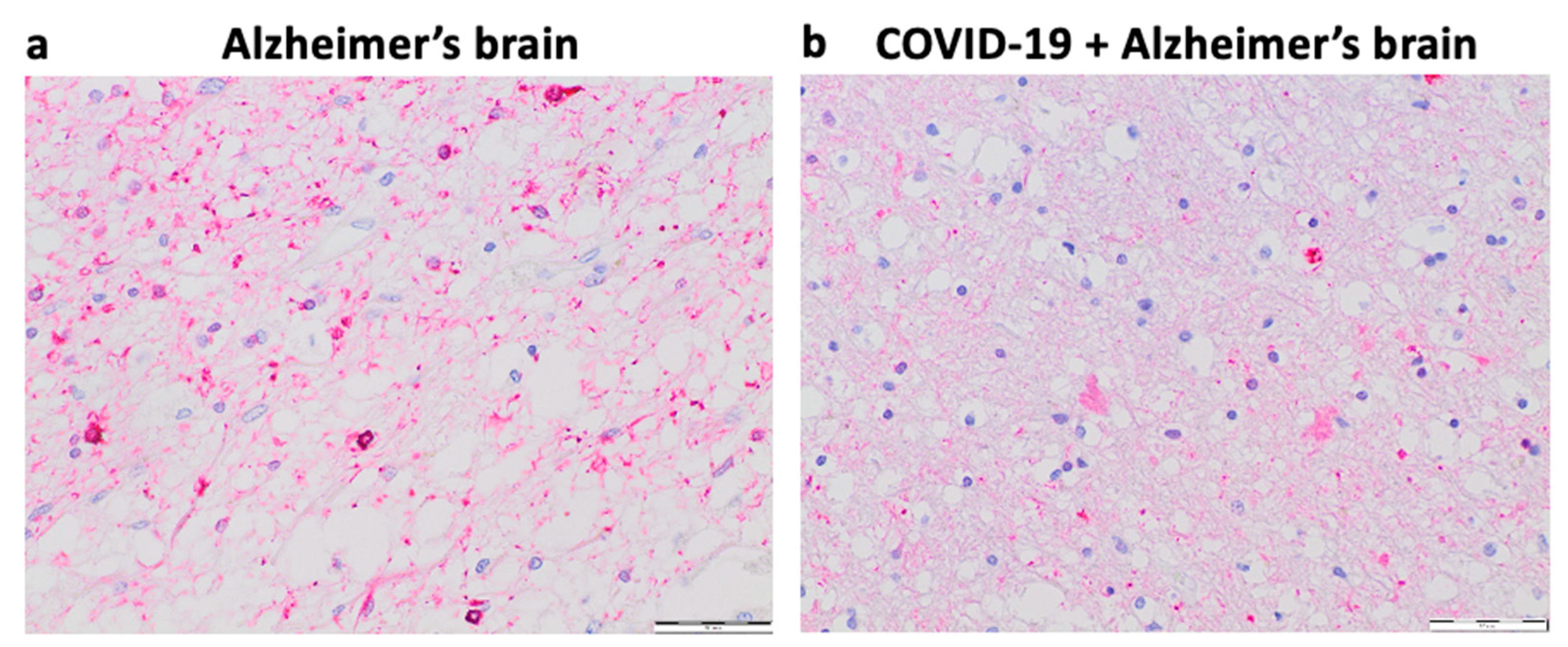 Preprints 89226 g004