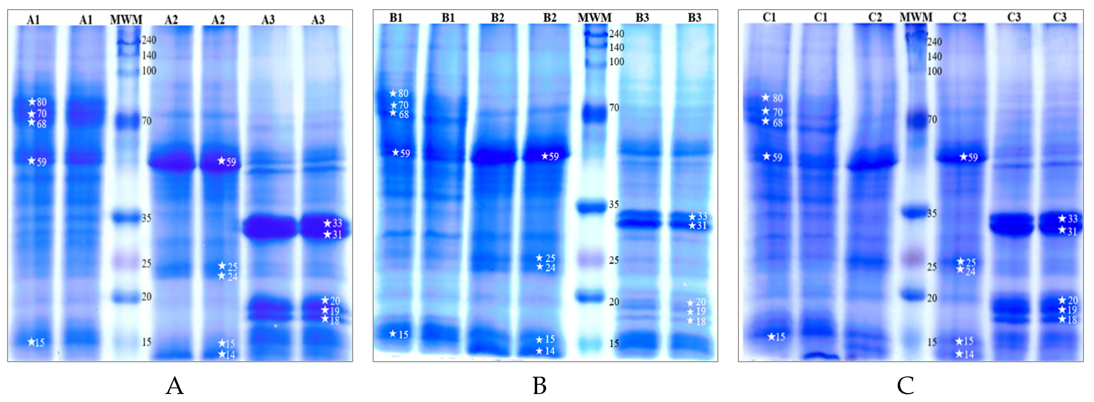 Preprints 121061 g001