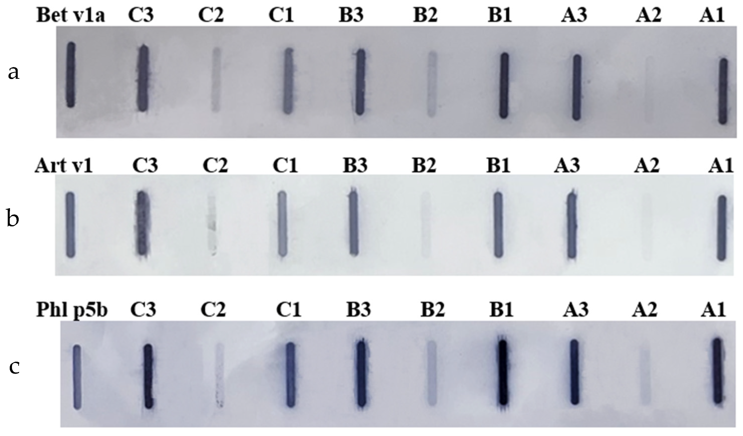 Preprints 121061 g002