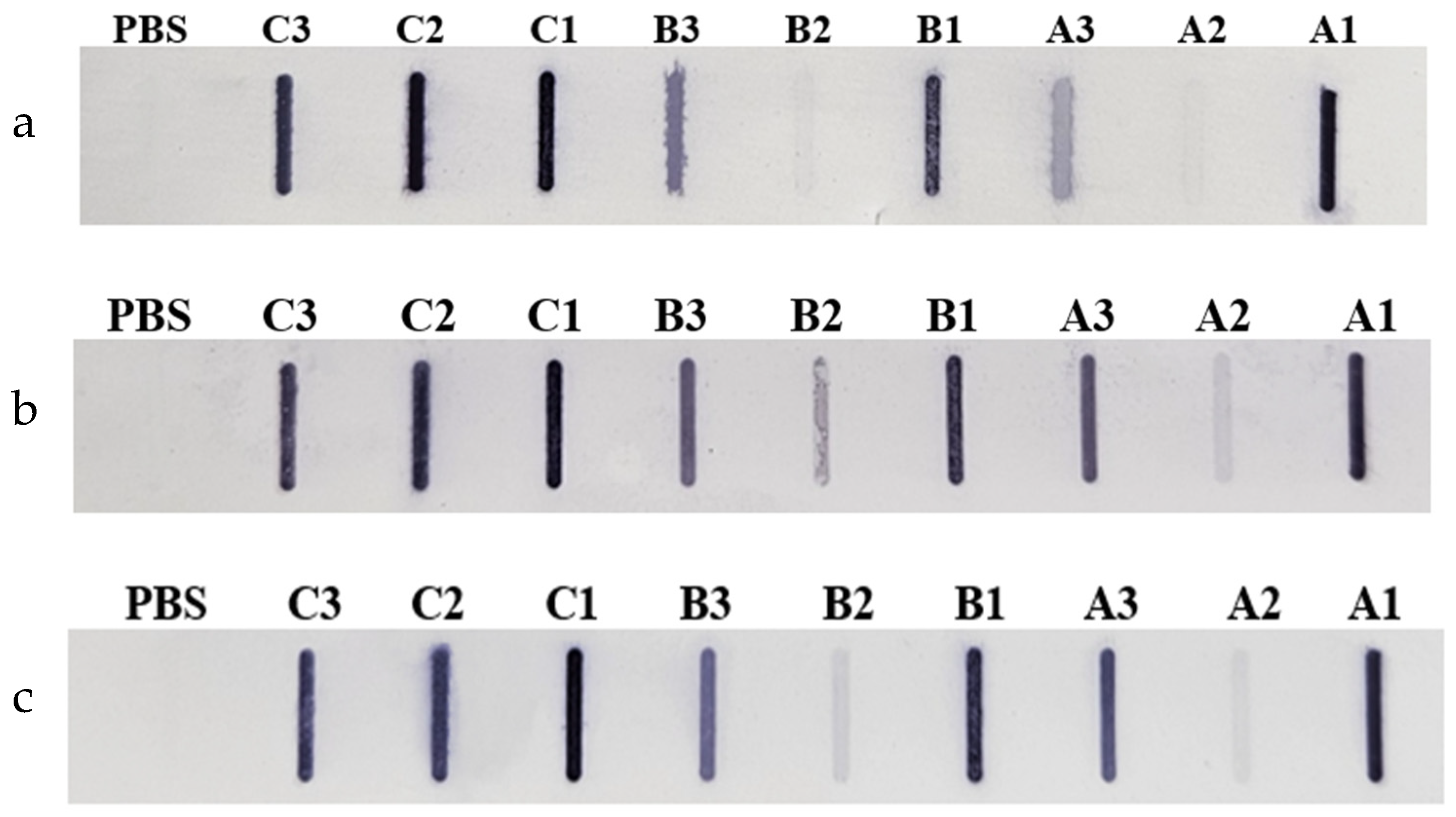 Preprints 121061 g003