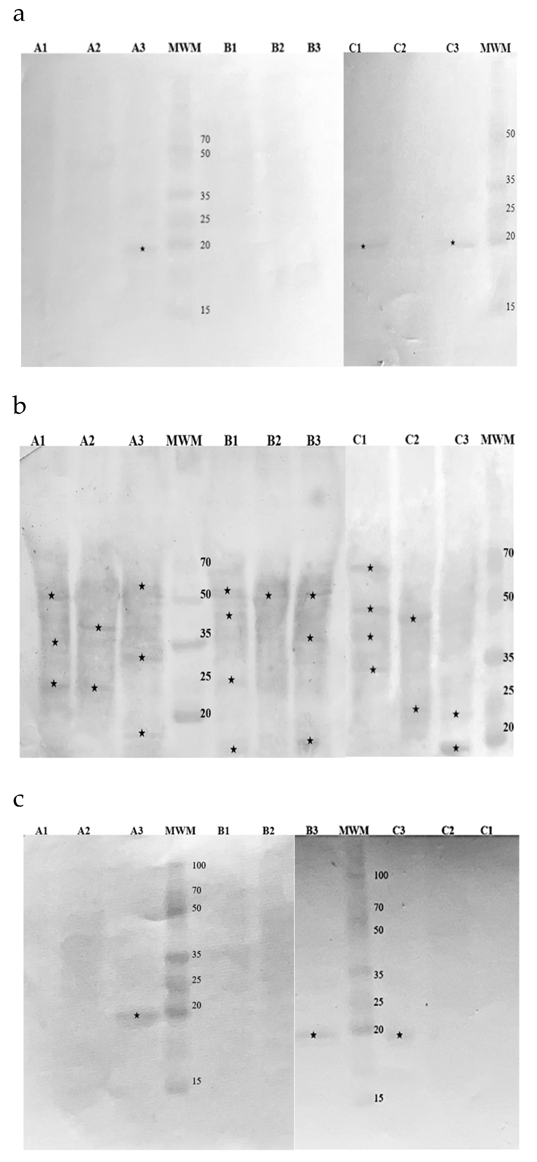 Preprints 121061 g004