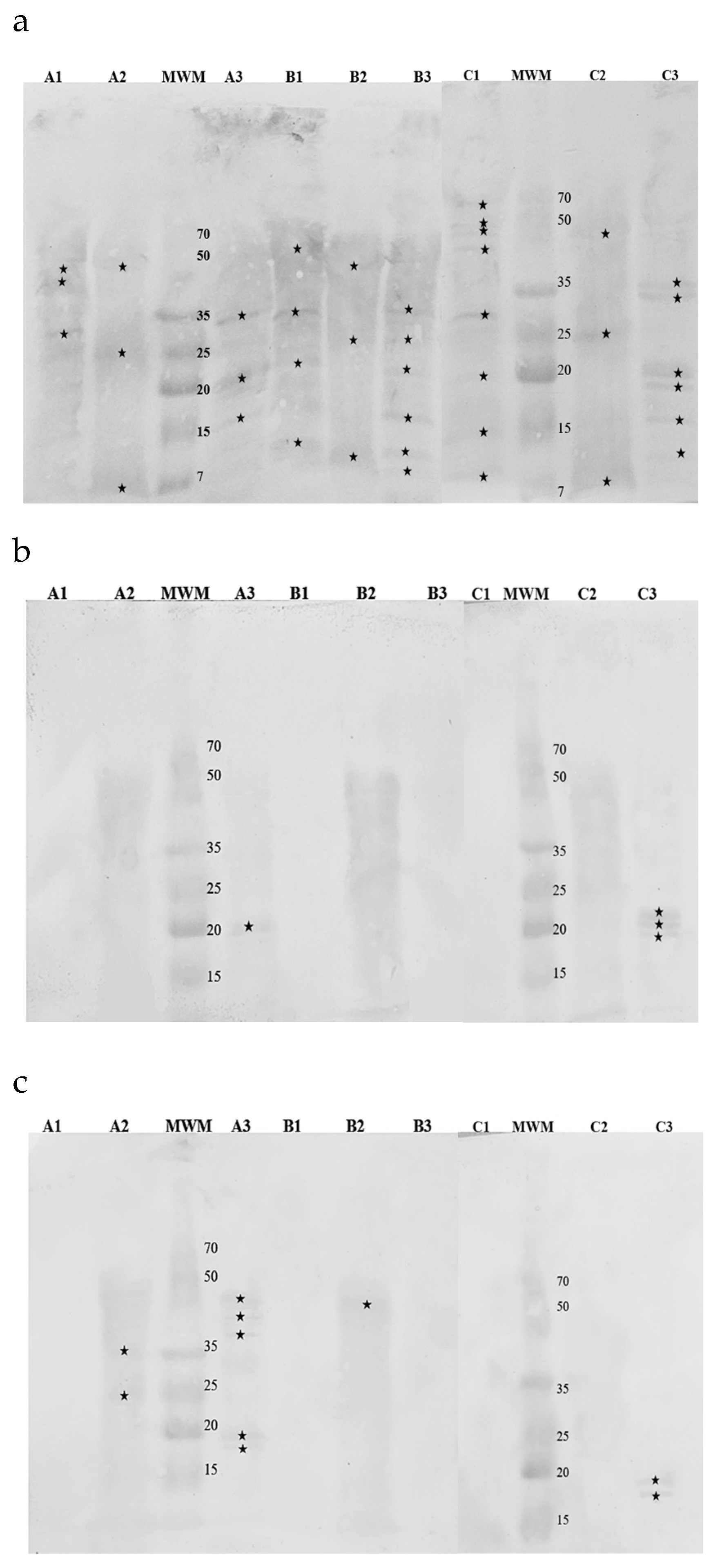 Preprints 121061 g005