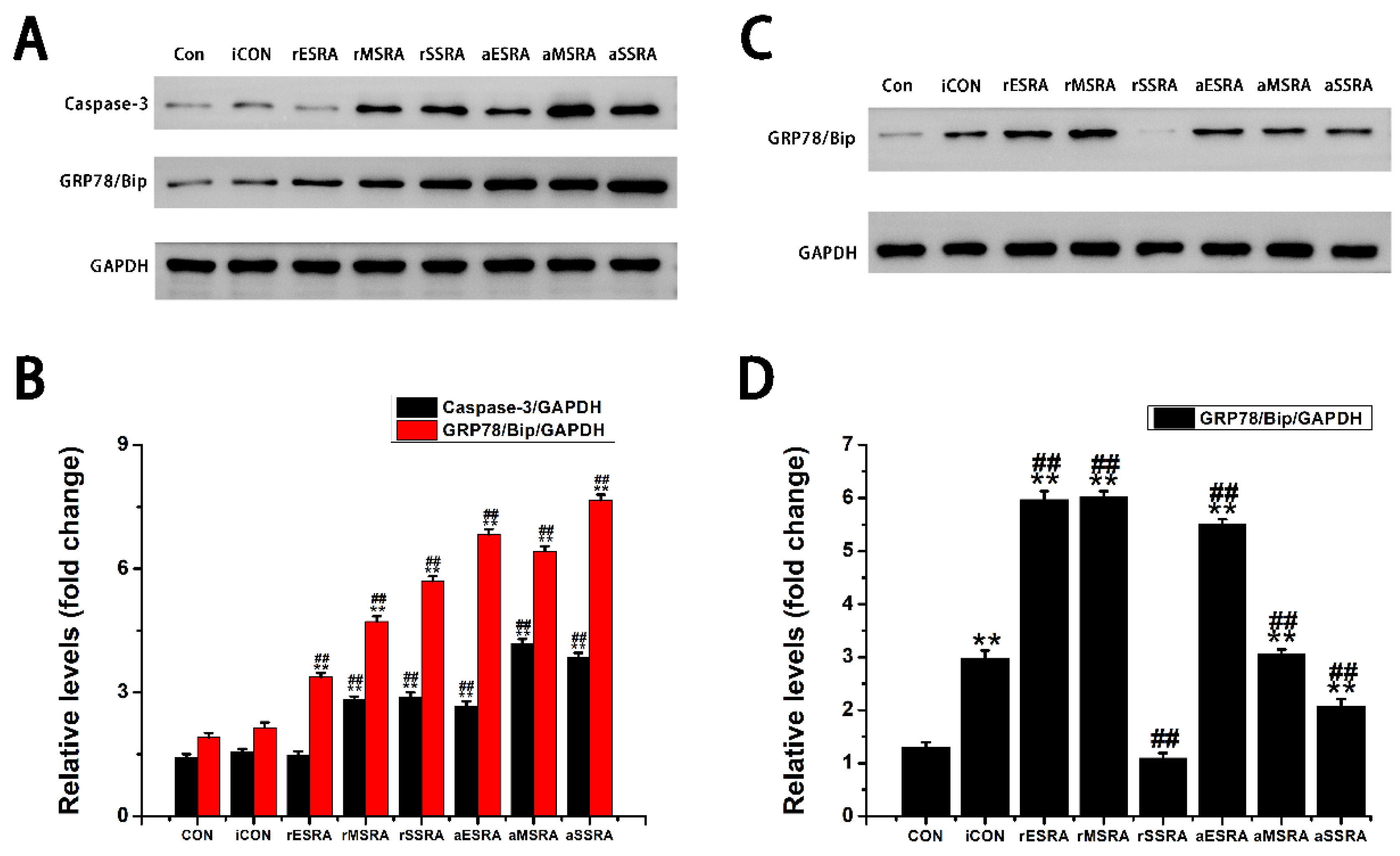 Preprints 118122 g003