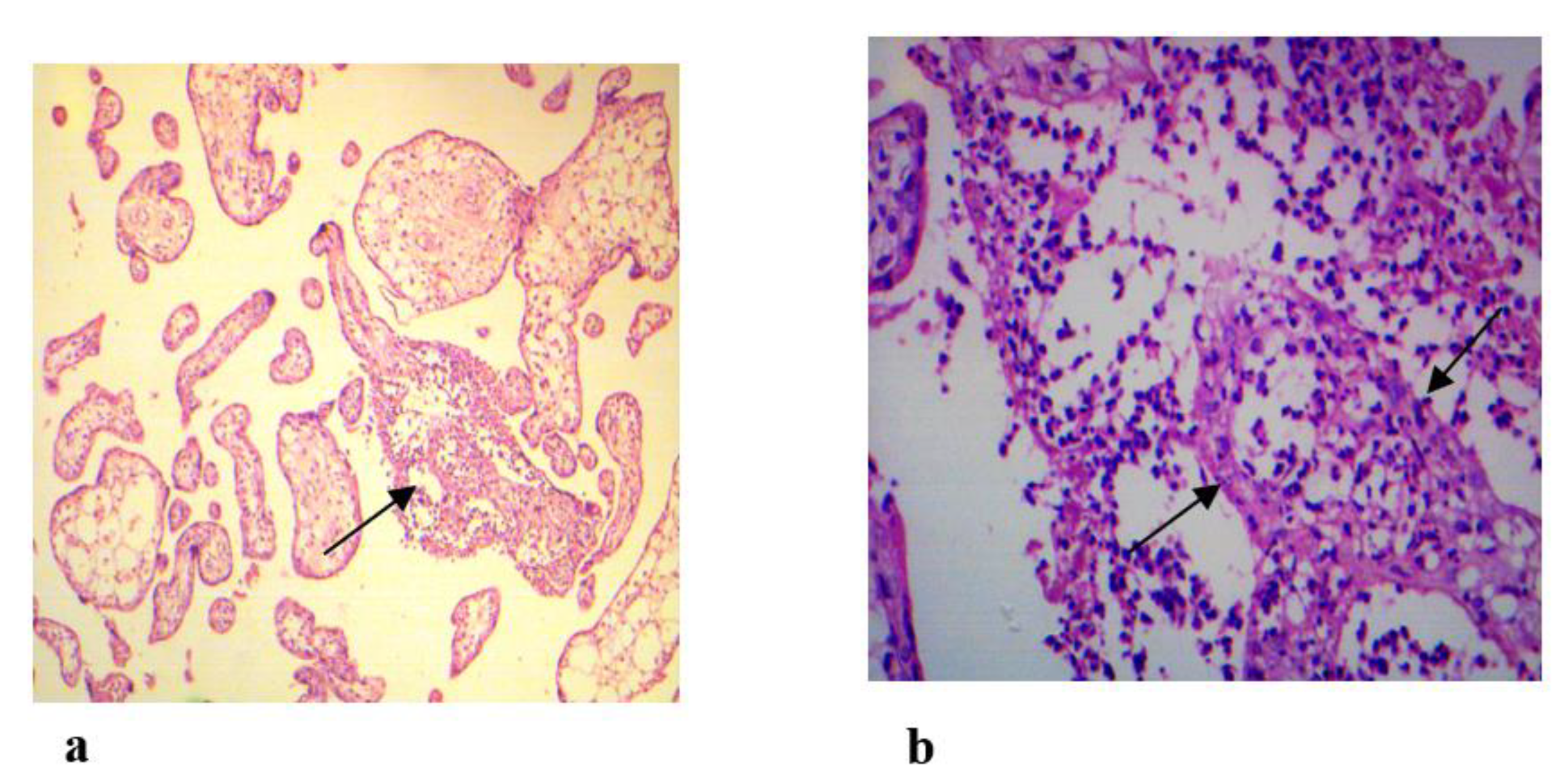 Preprints 106268 g002