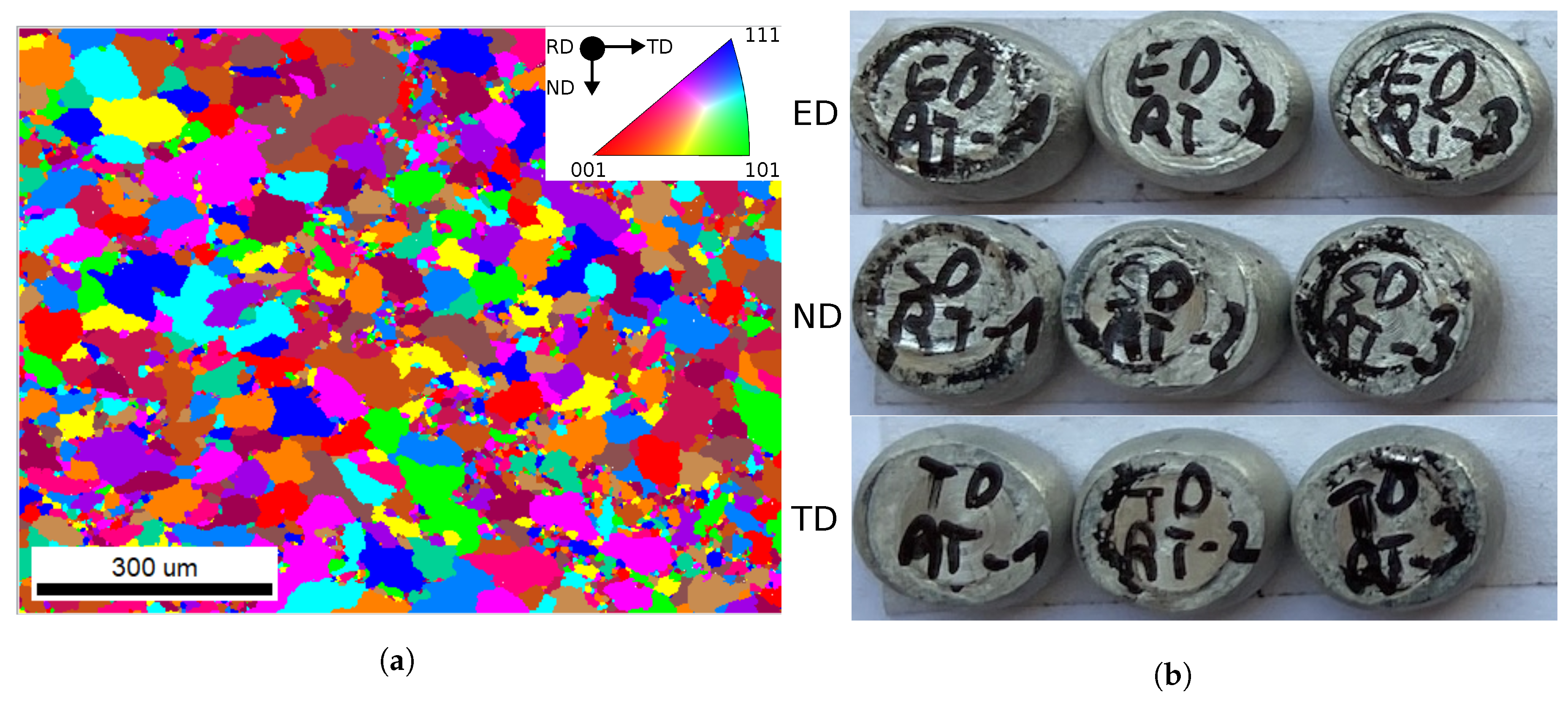 Preprints 108204 g002