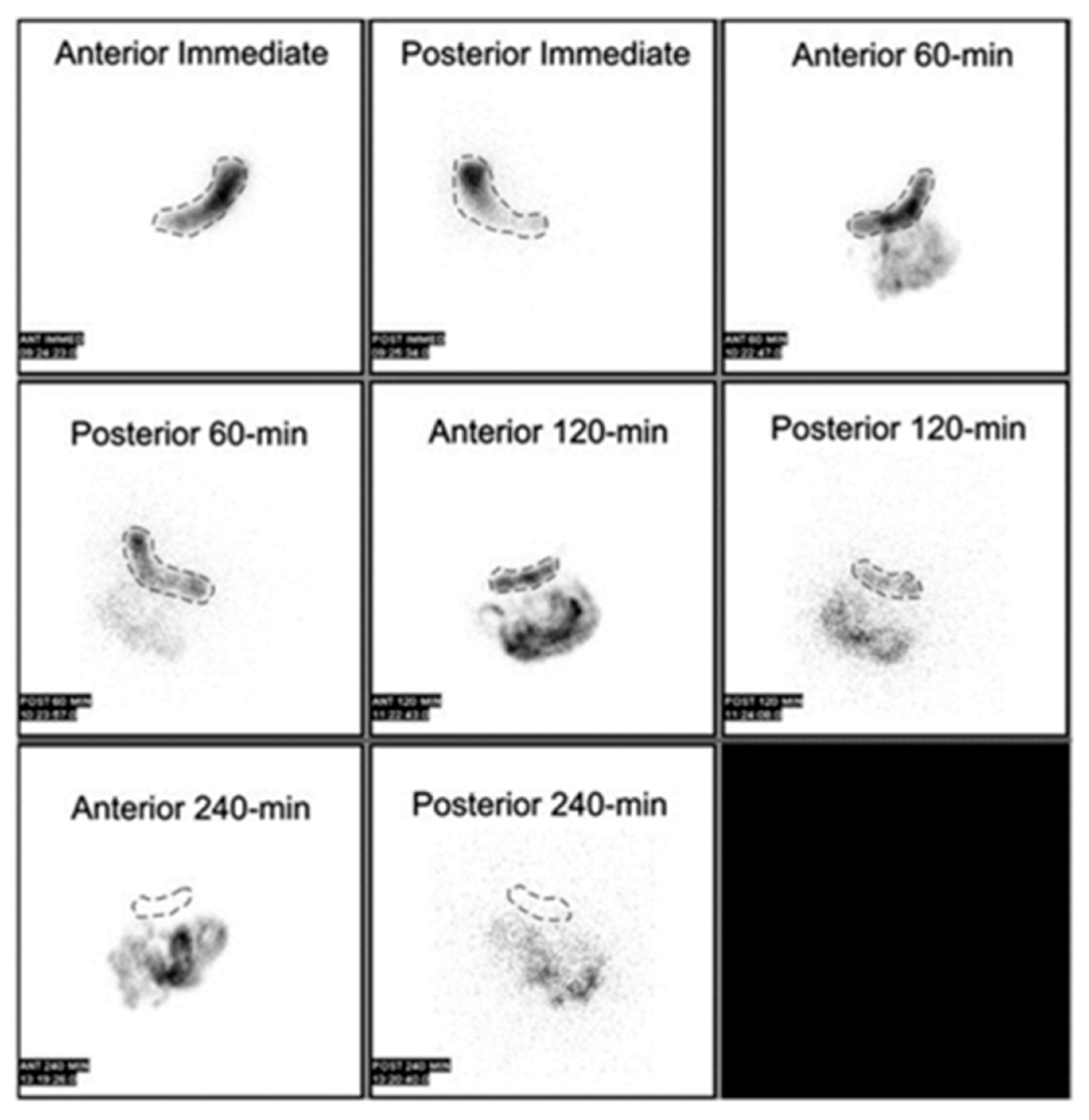 Preprints 116537 g002