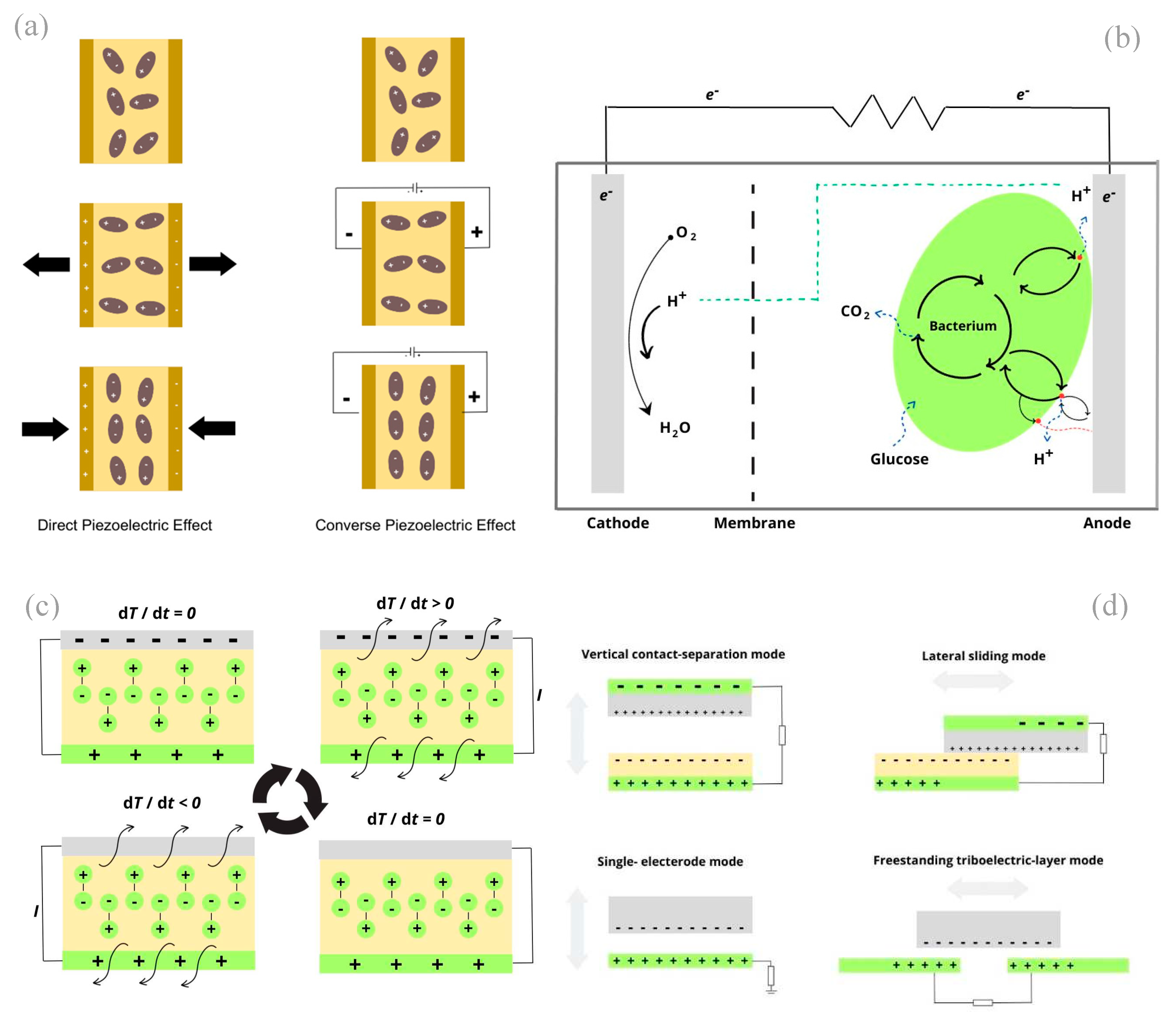 Preprints 90424 g003