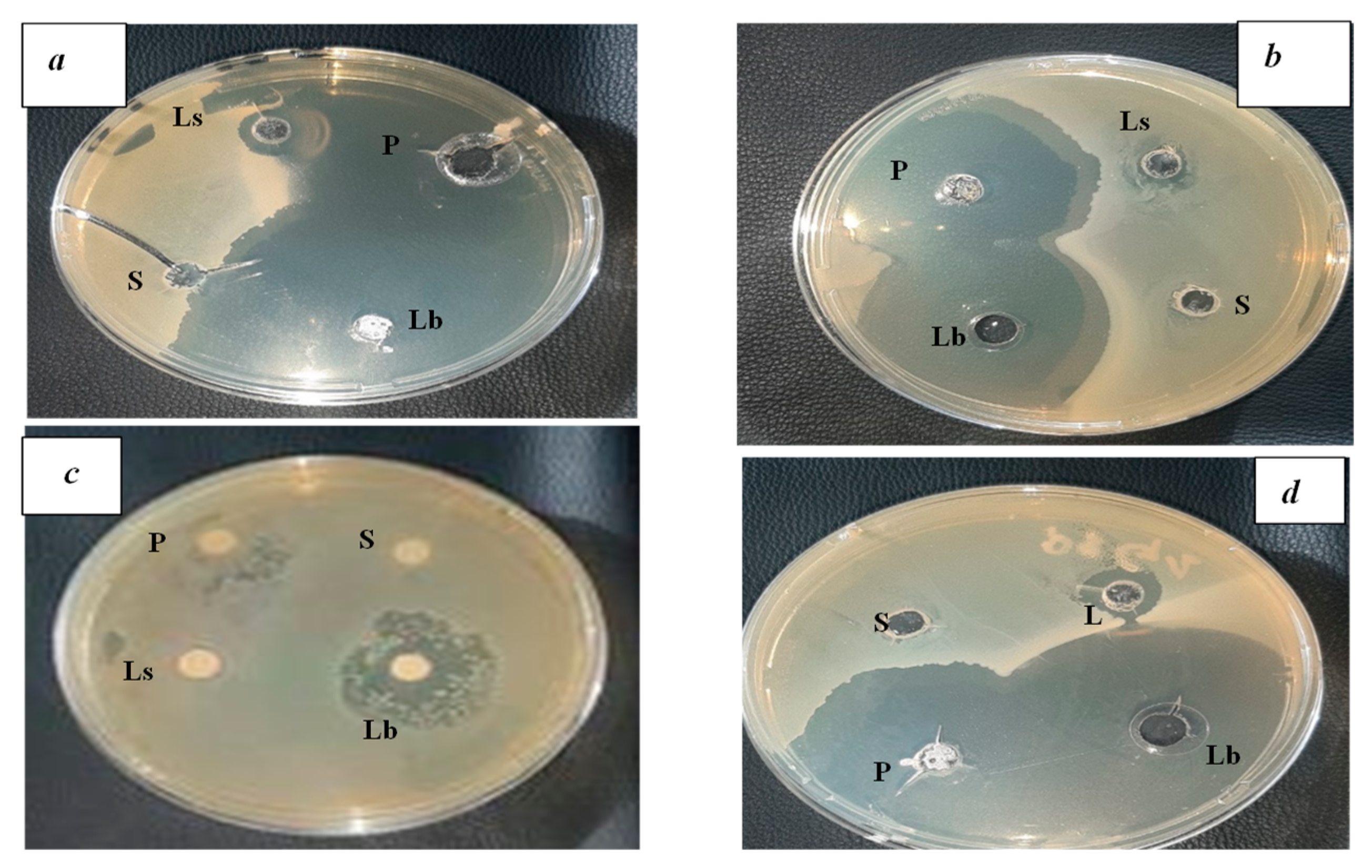 Preprints 73914 g005