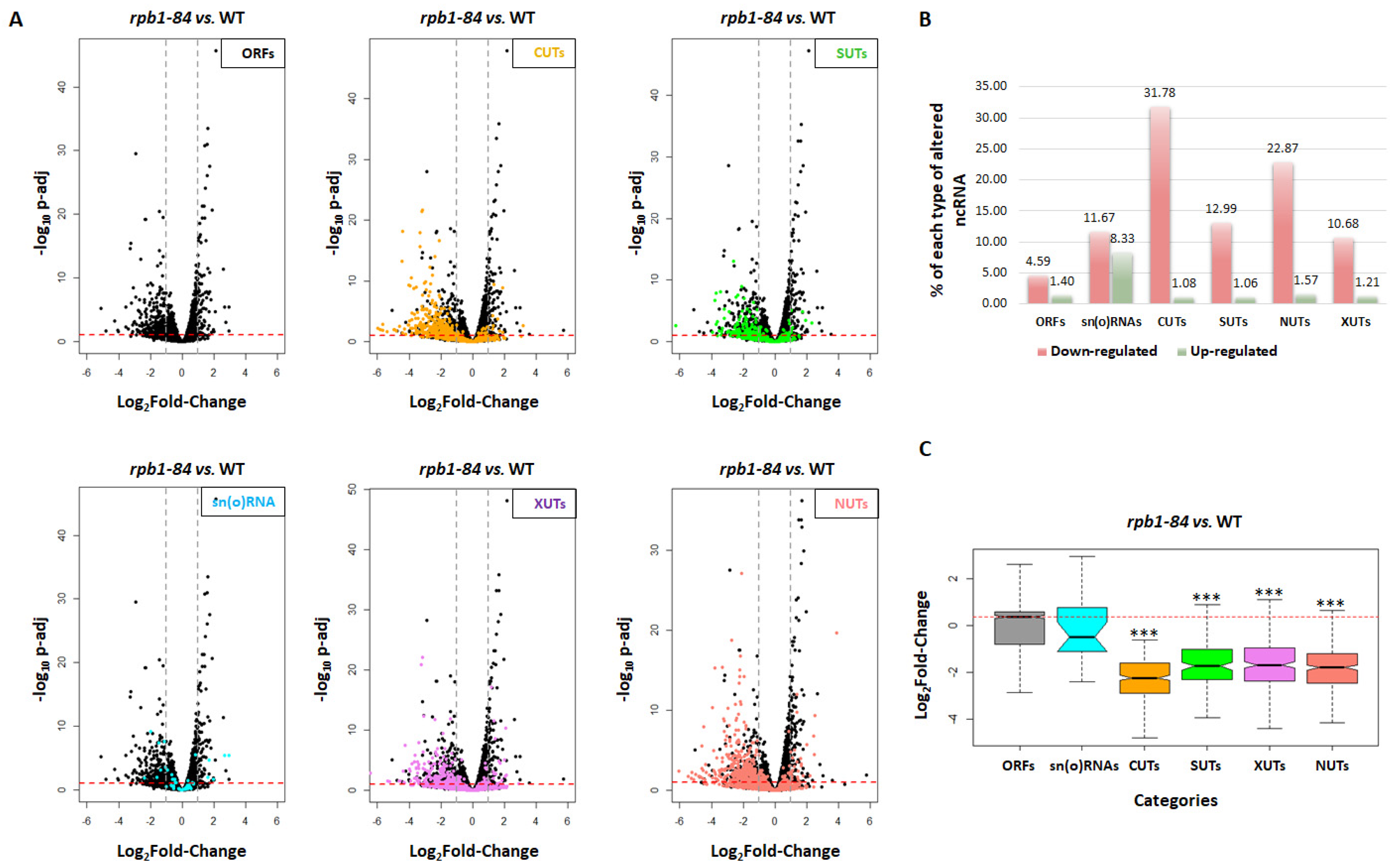 Preprints 91913 g001